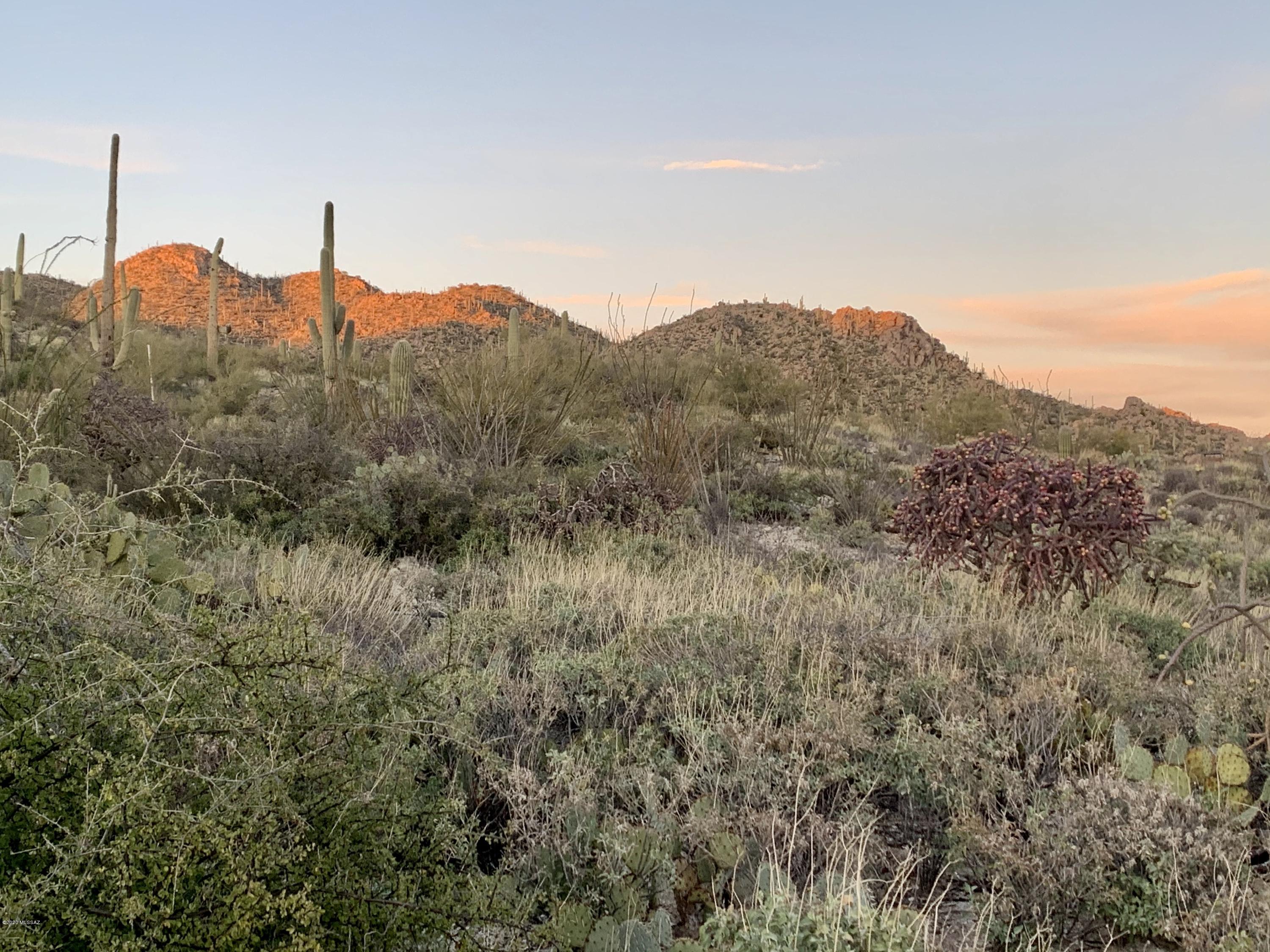 Stone Canyon III - Land