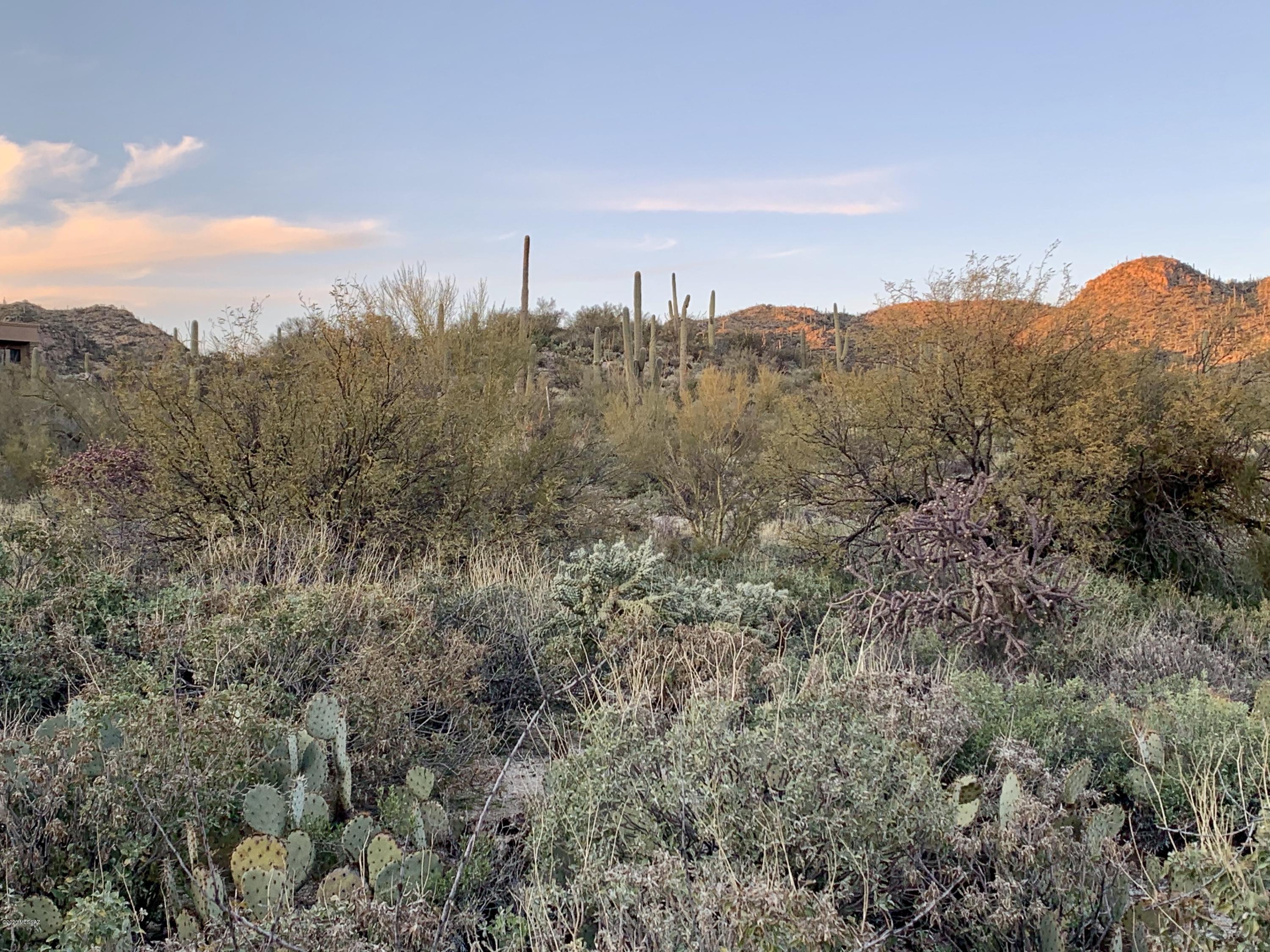 Stone Canyon III - Land