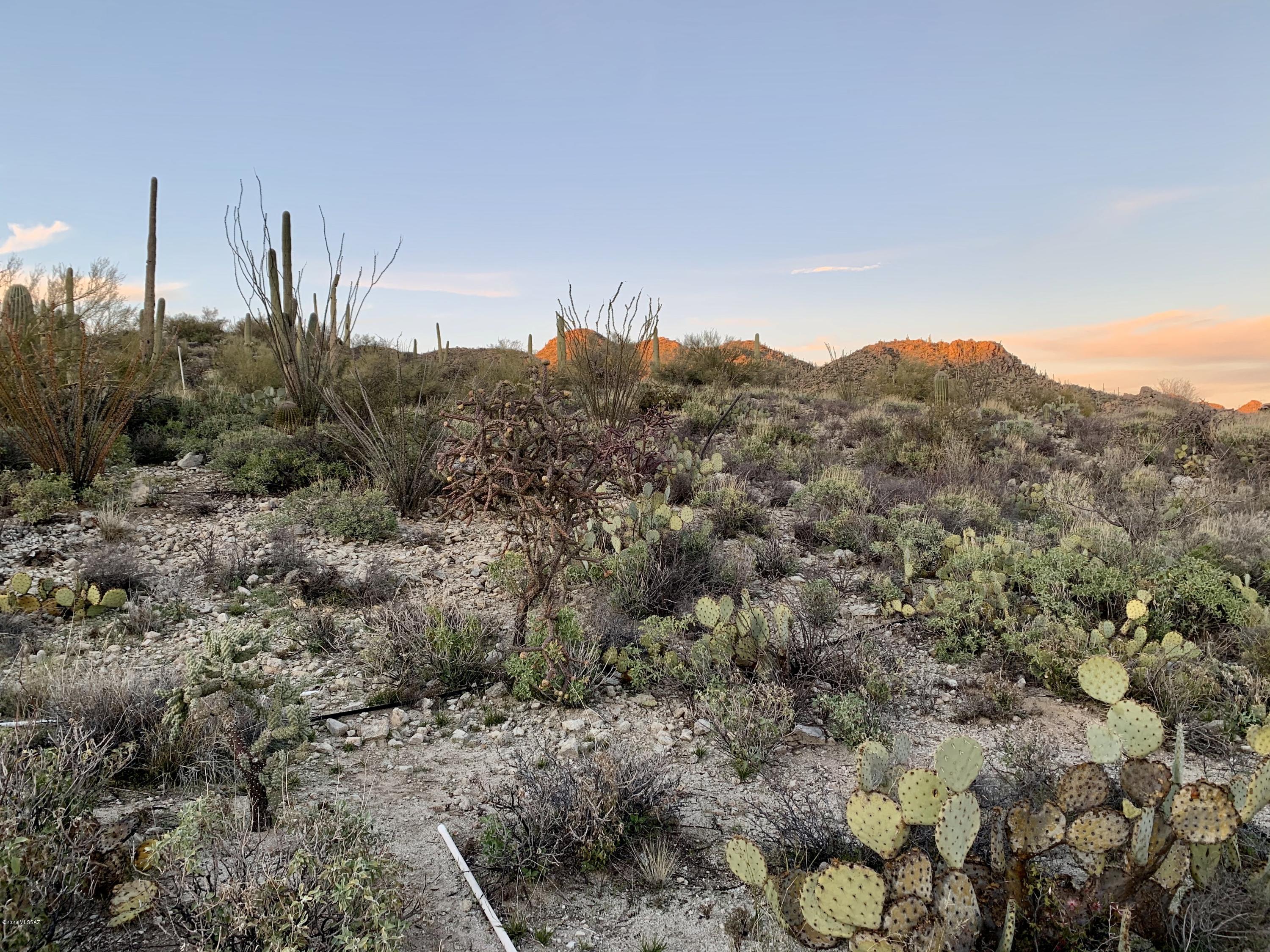 Stone Canyon III - Land