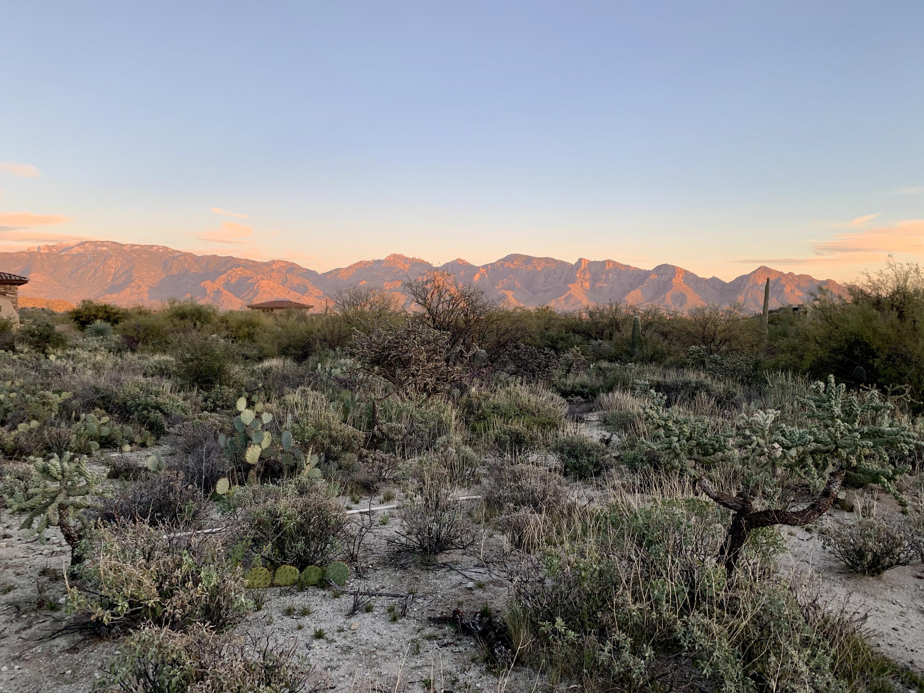 Stone Canyon III - Land