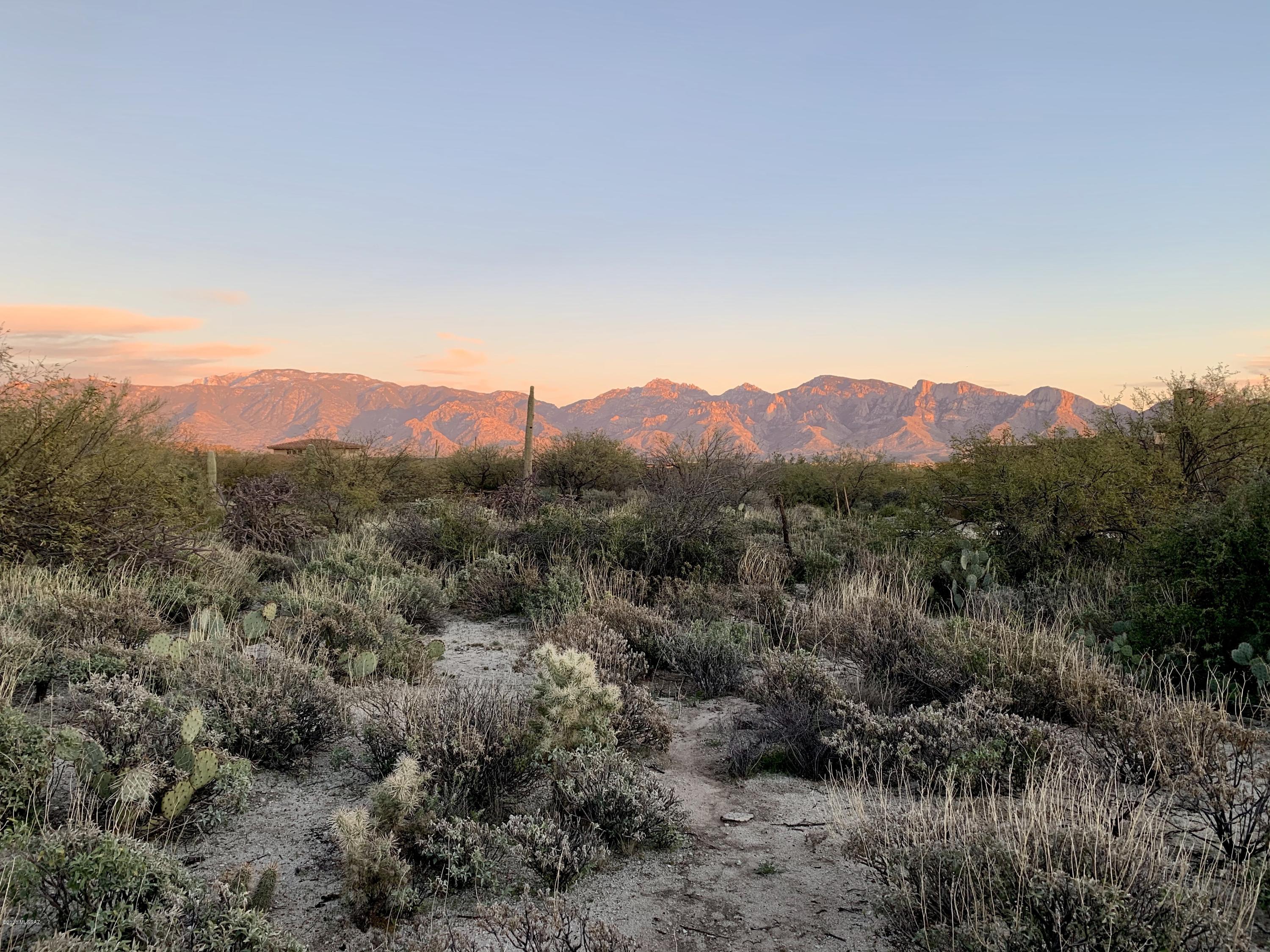 Stone Canyon III - Land