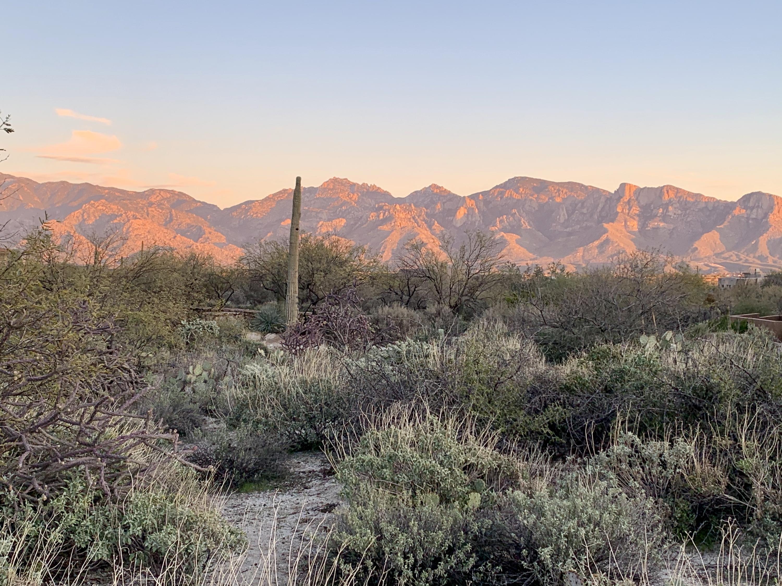 Tuscan Estates presents this 1.19 acre lot - No doubt the best view for the money hands down.  MUST walk the site to appreciate the dramatic view of the Catalina Mountain Range.  Invest in your dream home rather than high land development costs. All this with a spectacular view all around you.  This homesite sits nicely against common area and offers a stunning view with beautiful desert surroundings. Listing Agent is available to walk the site and show you the view and design capabilities with an opportunity to buy at a phenomenal price.  Tuscan Estates an Enclave of 43 homes.  Stone Canyon Golf Club Development - Premier Luxury Living.