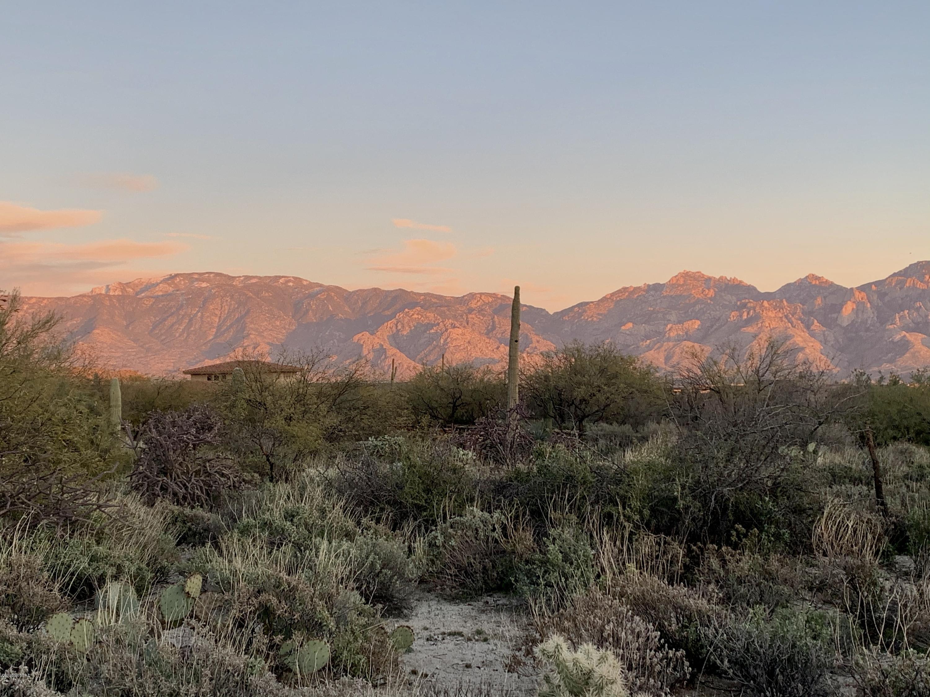 Stone Canyon III - Land