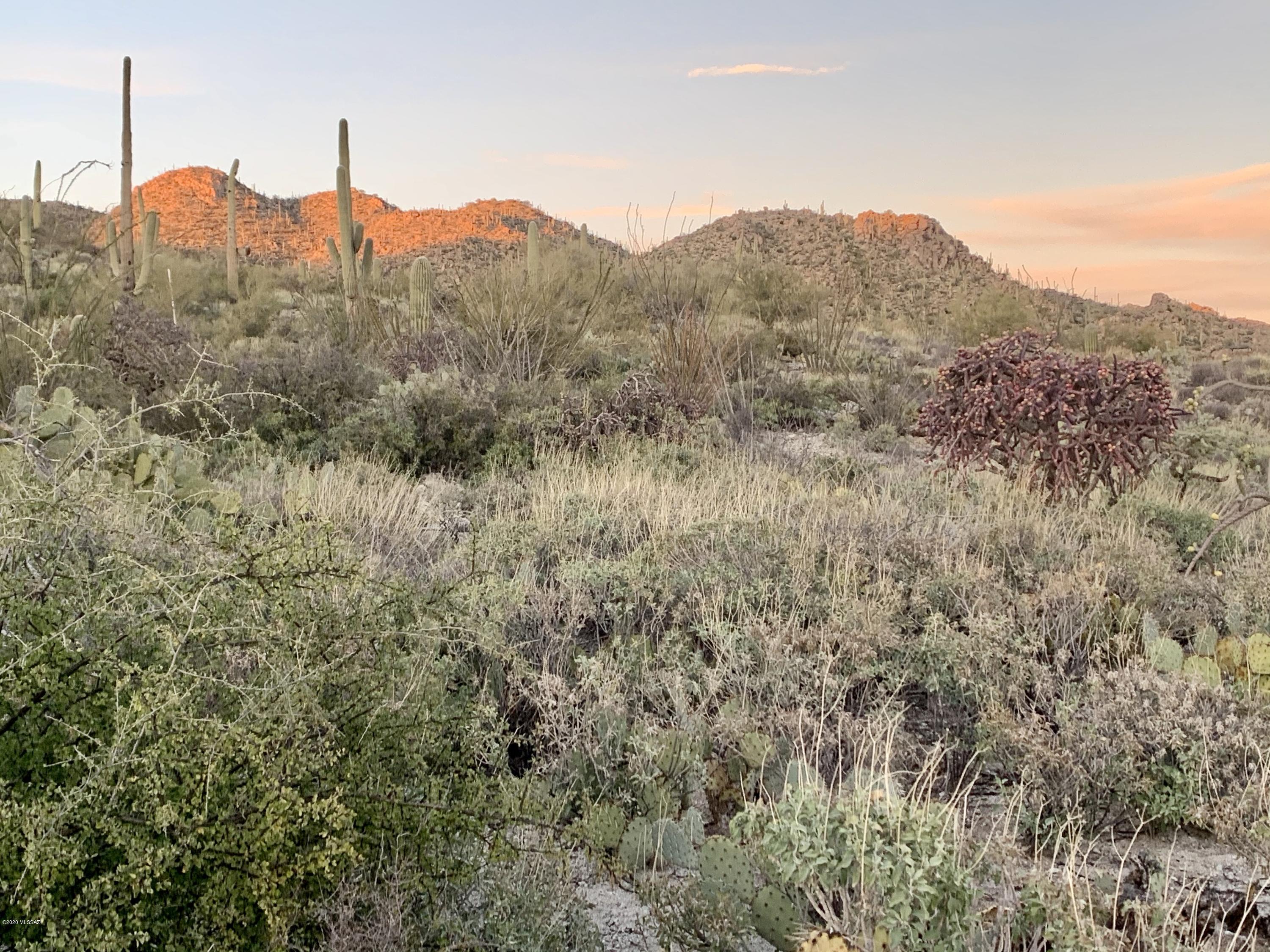 Stone Canyon III - Land