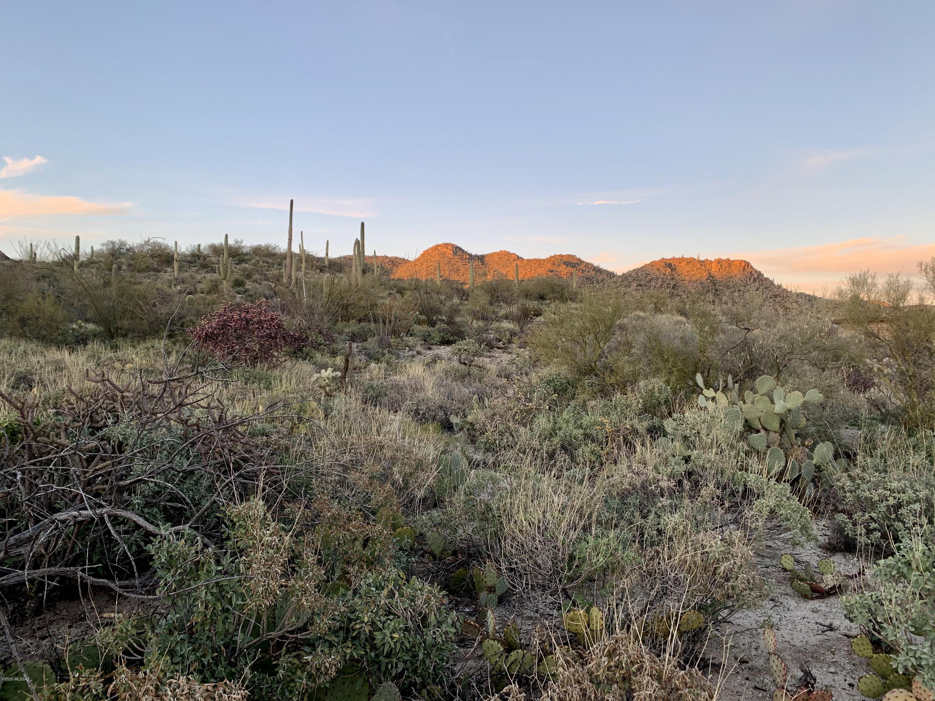 Stone Canyon III - Land
