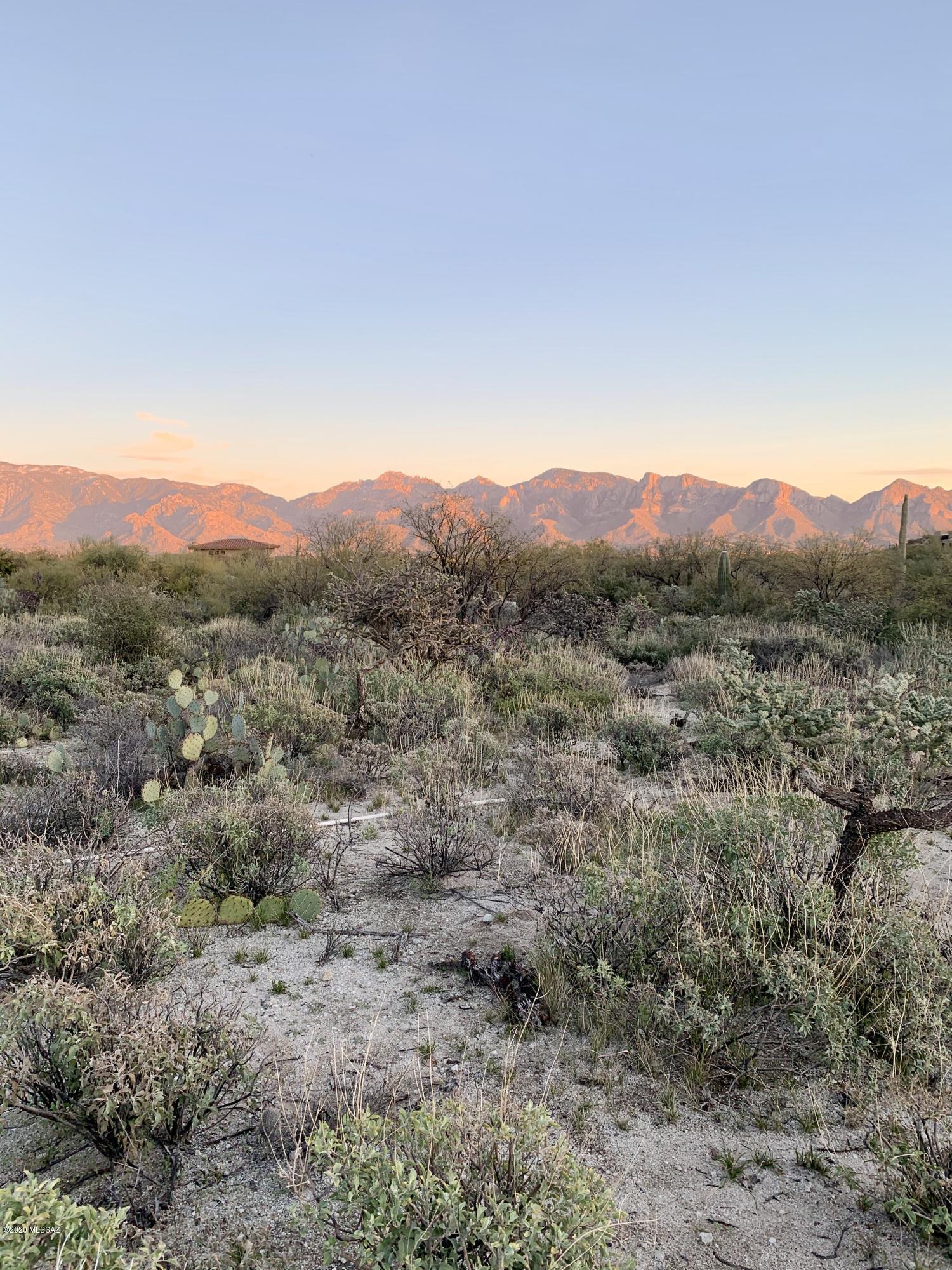 Stone Canyon III - Land
