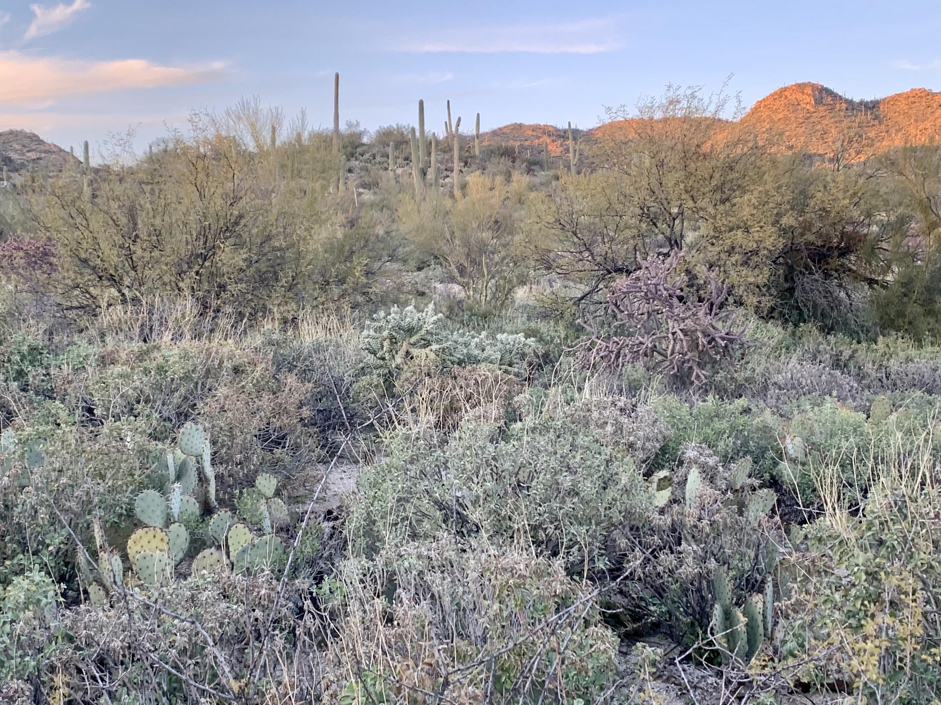 Stone Canyon III - Land
