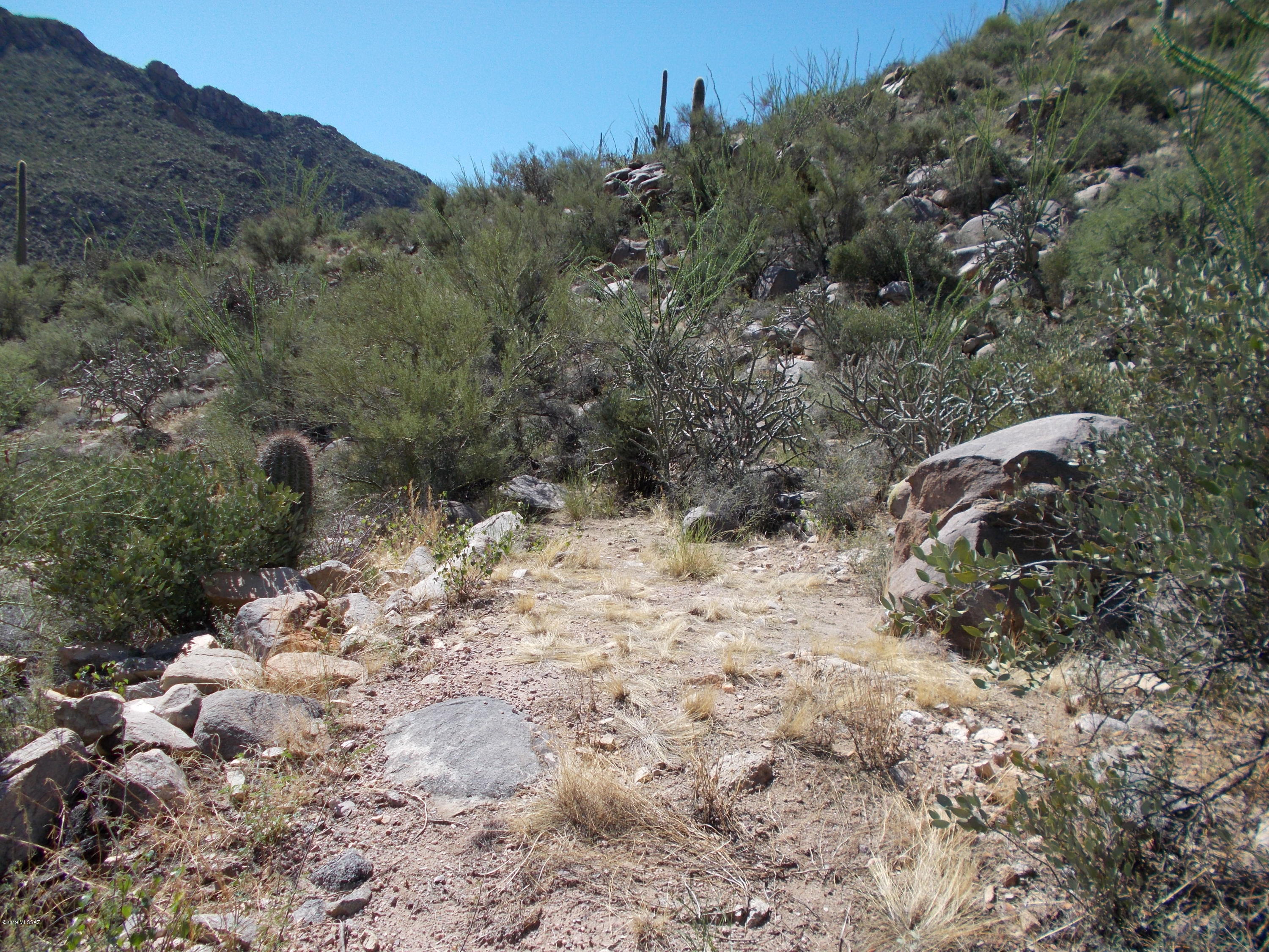 Canyon Pass III At Dove Mountain (111-181) - Land