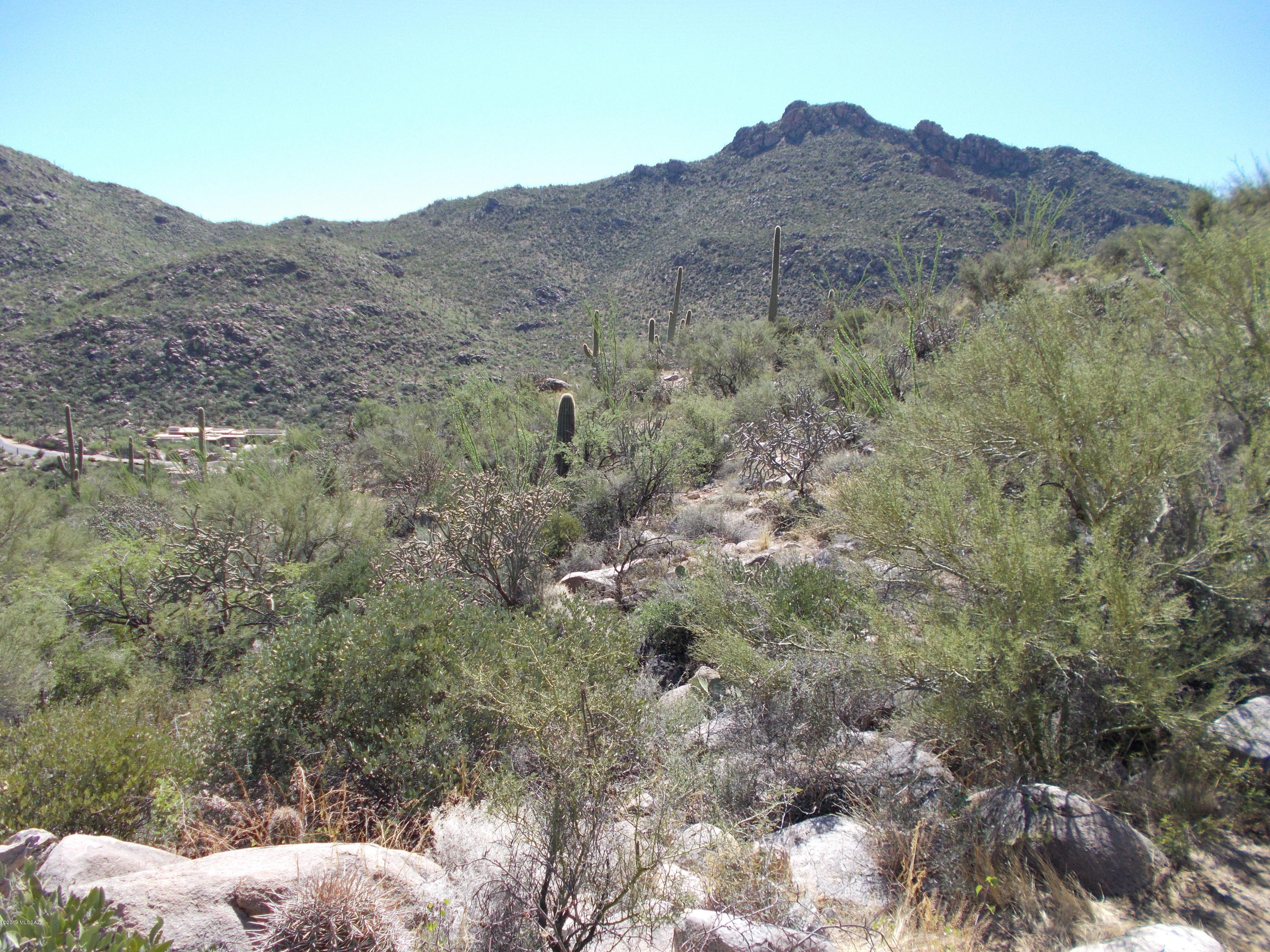 Canyon Pass III At Dove Mountain (111-181) - Land