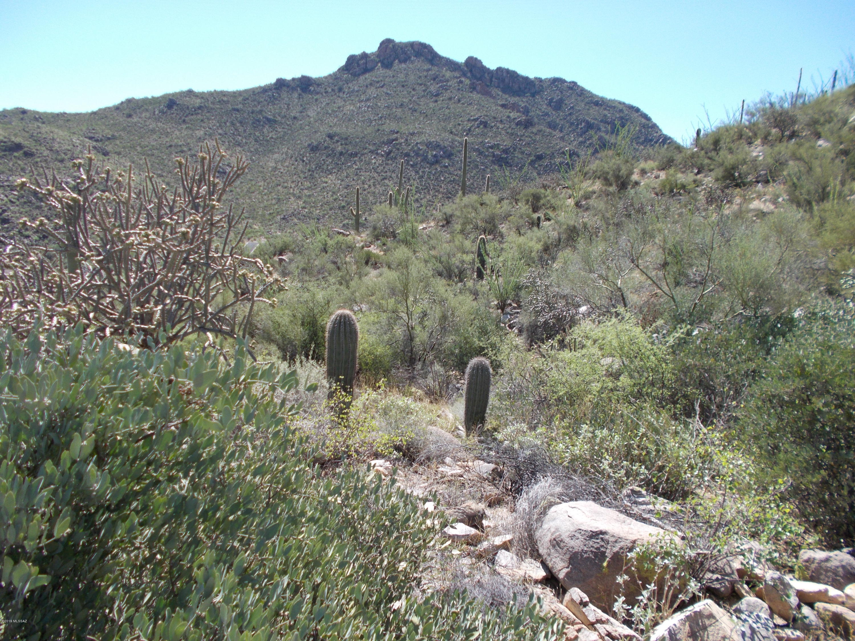 Canyon Pass III At Dove Mountain (111-181) - Land