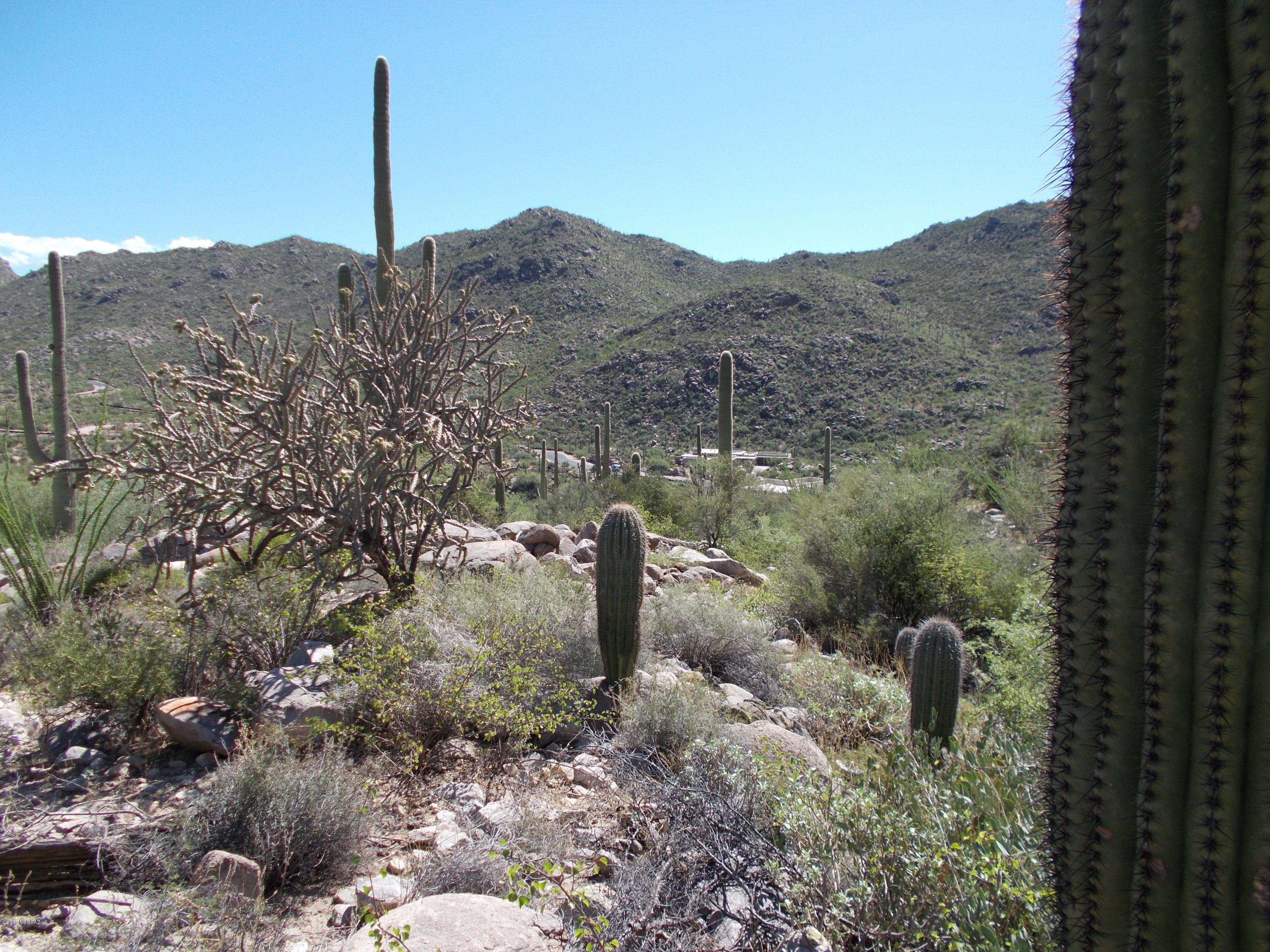 HUGE SELLER SACRIFICE--$89,000! FABULOUS PRICE on a VERY SPECIAL, 3 ACRE SITE. Walk the short path from the street to the GENTLY SLOPED building pad and be SURROUNDED by DRAMATIC BOULDERS and SAGUAROS in a QUIET and PRIVATE setting. BEAUTIFUL VIEWS across the canyon and backyard views of a LUSHLY VEGETATED HILLSIDE with no homes in sight. See 'Documents for Plot Plan with topo and building envelope. Minutes to multiple golf courses, hiking and walking trails, Oro Valley, I-10 and the WORLD CLASS amenities of the RITZ CARLTON DOVE MOUNTAIN. East to walk and show and FALL in LOVE. DEFINITELY put this one ON YOUR Canyon Pass LIST. Priced to sell NOW.