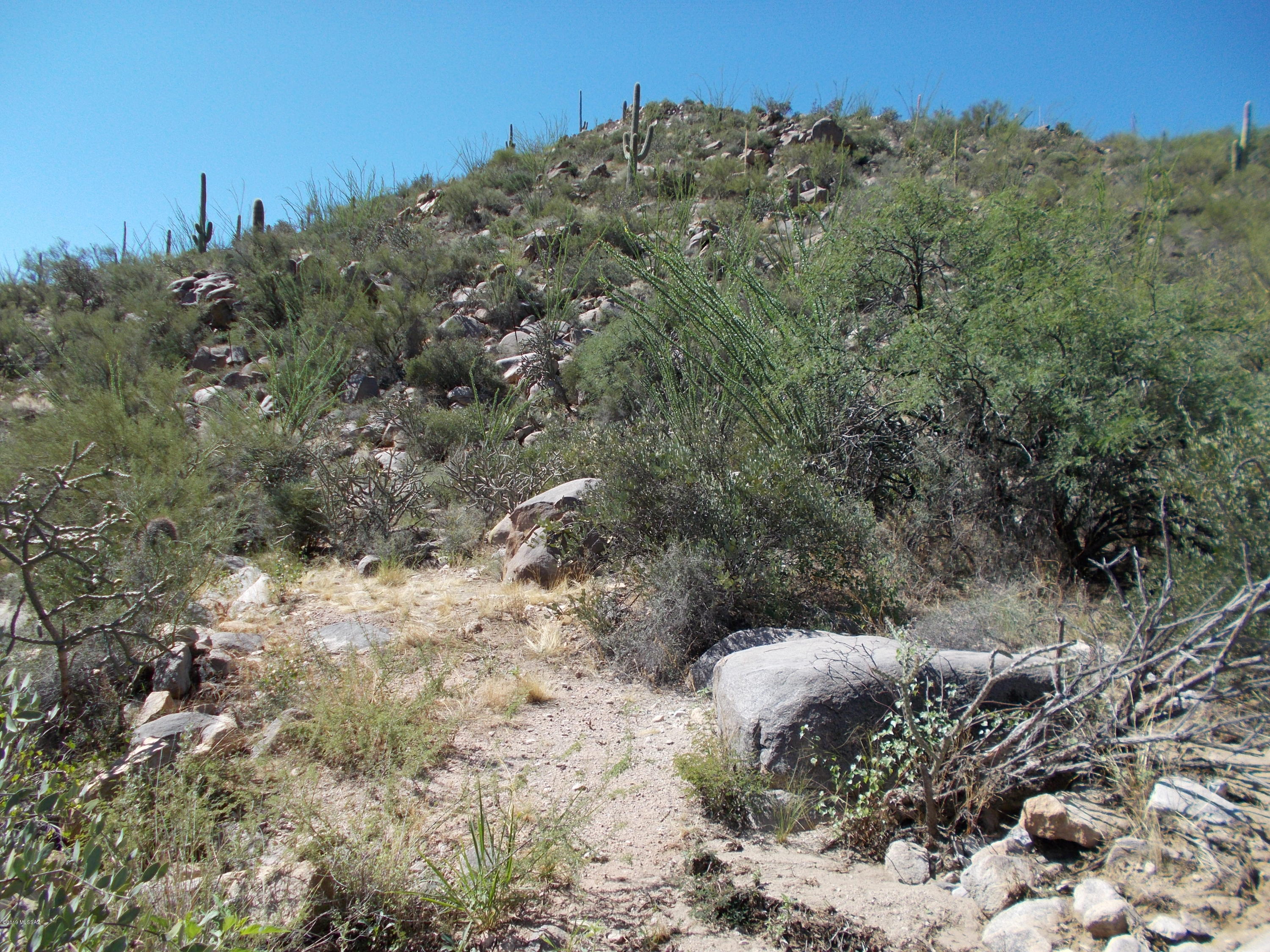 Canyon Pass III At Dove Mountain (111-181) - Land