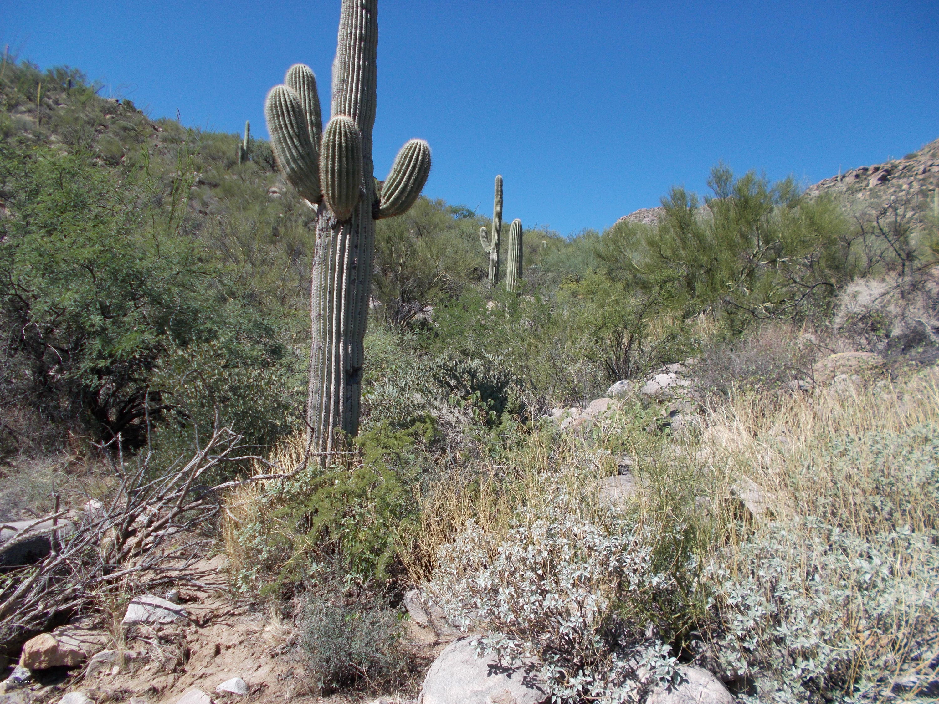Canyon Pass III At Dove Mountain (111-181) - Land