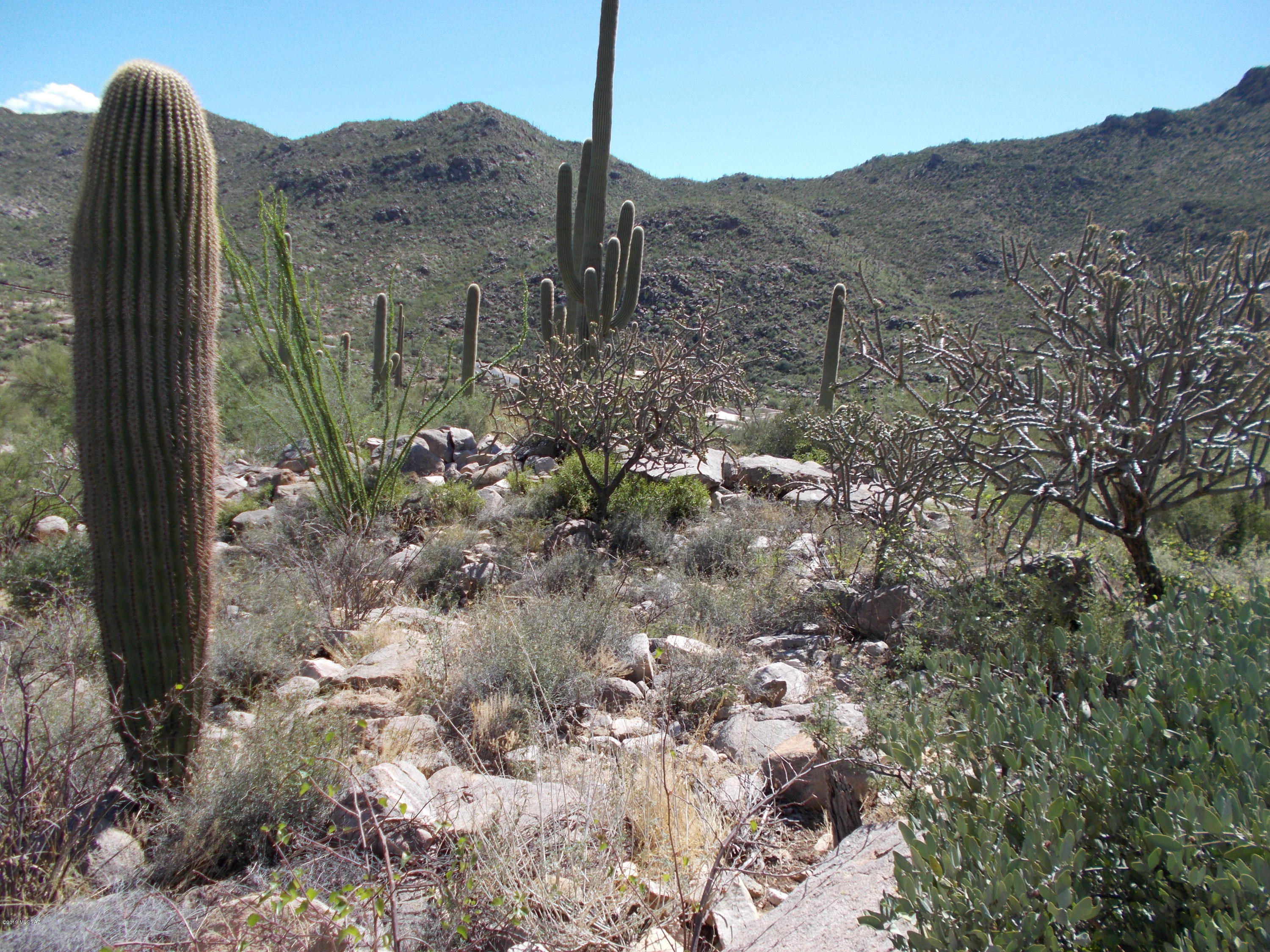 Canyon Pass III At Dove Mountain (111-181) - Land