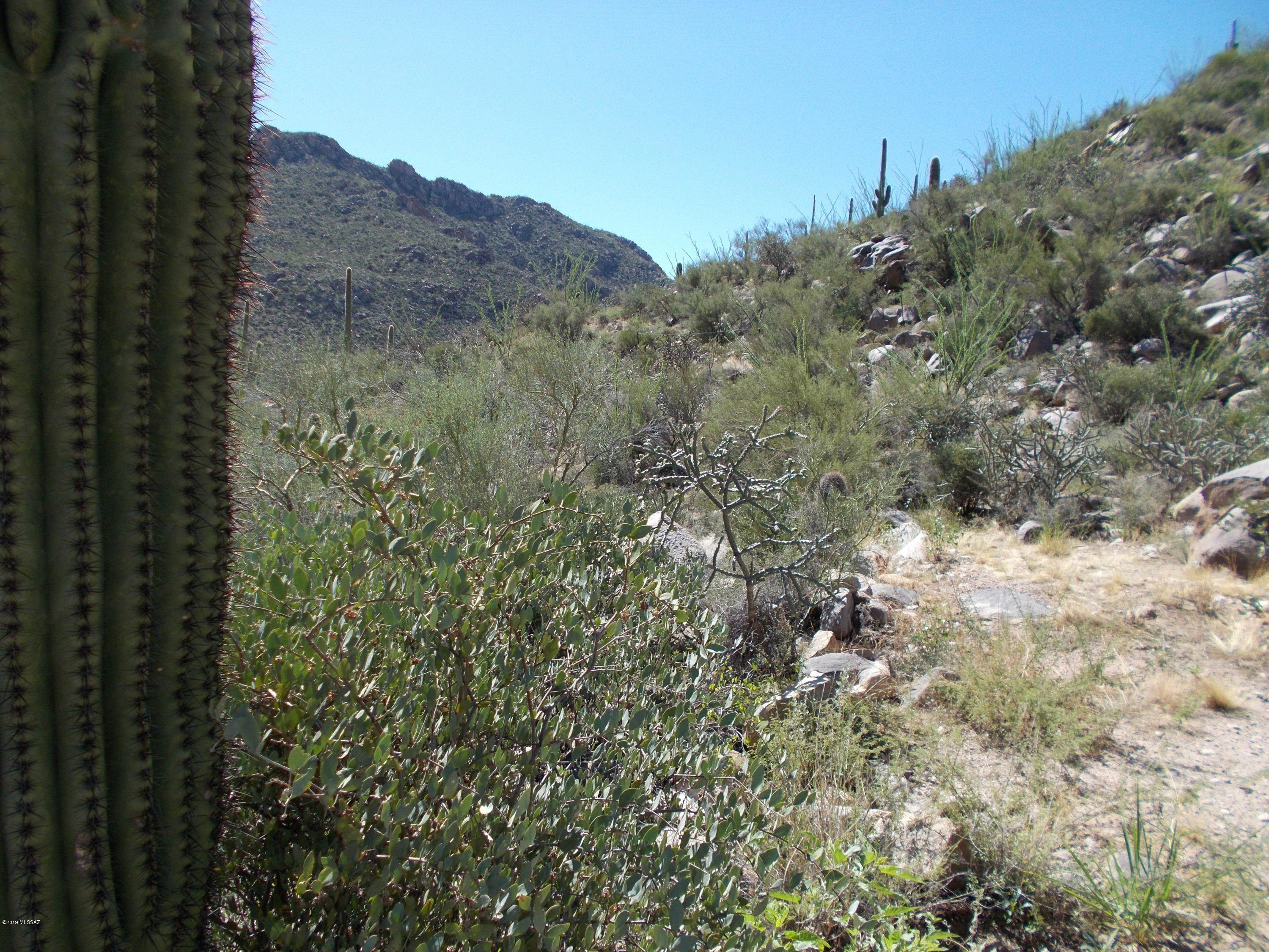 Canyon Pass III At Dove Mountain (111-181) - Land
