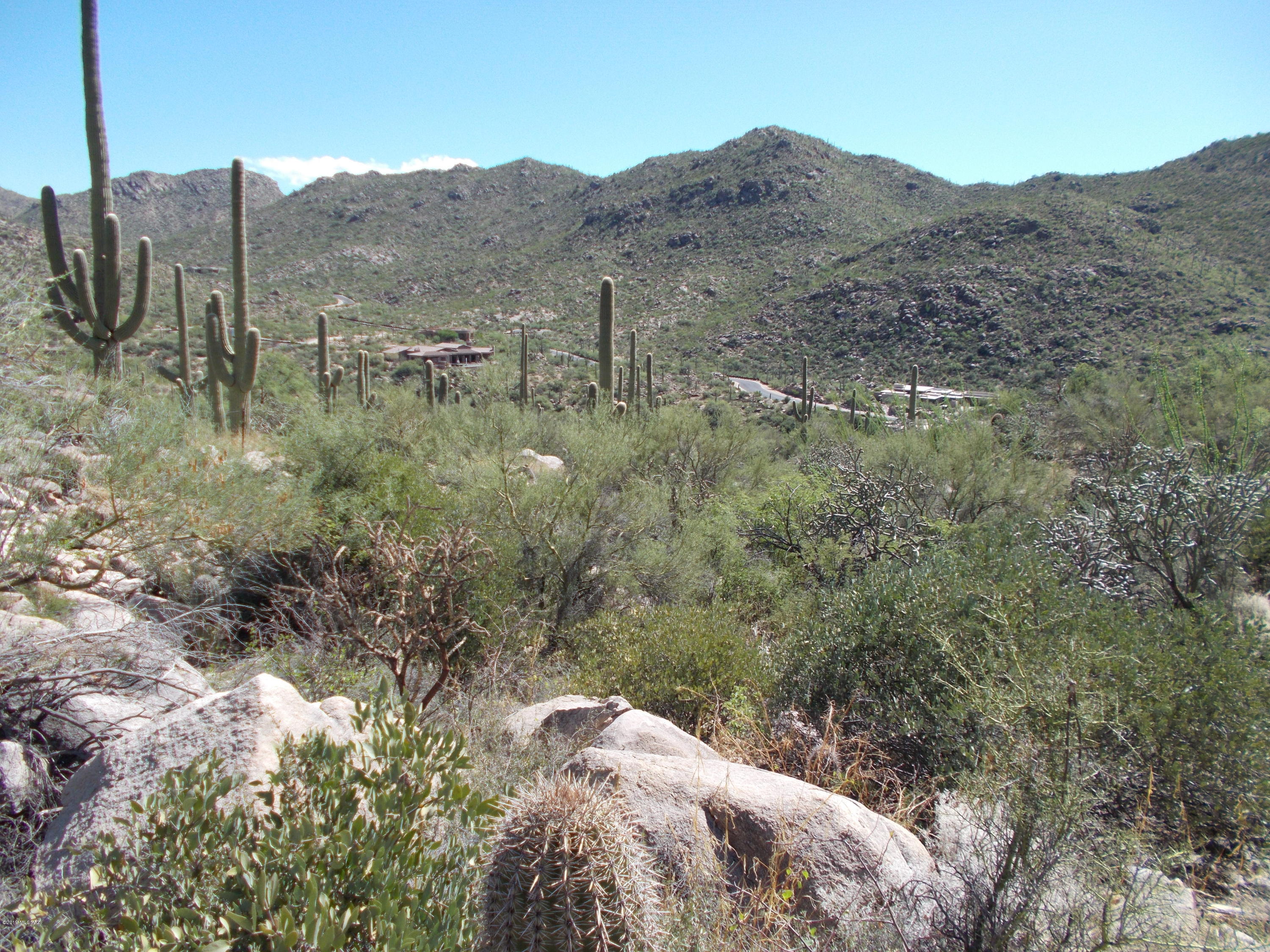 Canyon Pass III At Dove Mountain (111-181) - Land