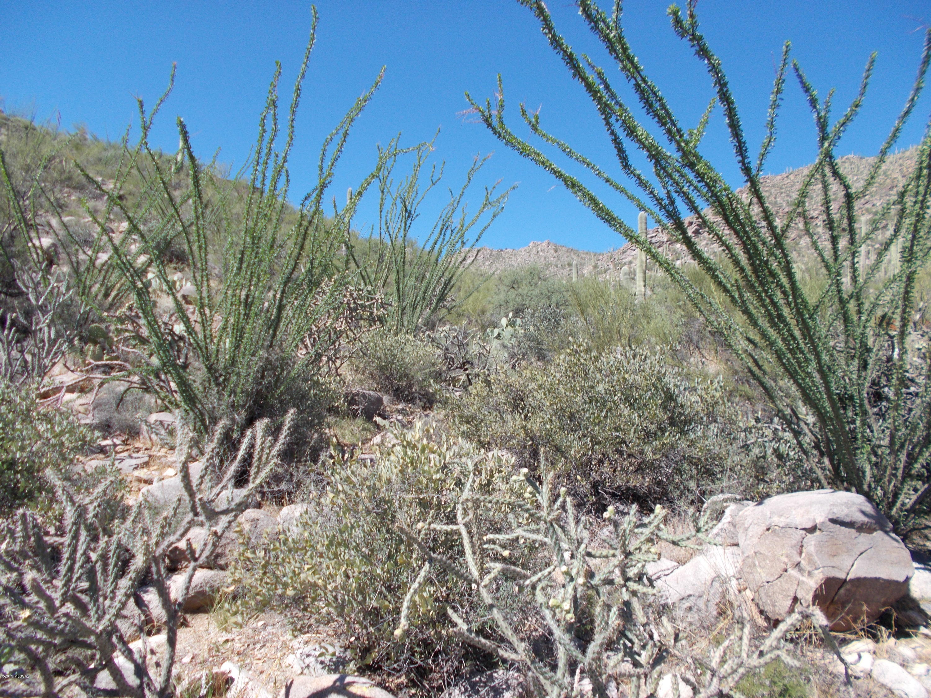 Canyon Pass III At Dove Mountain (111-181) - Land