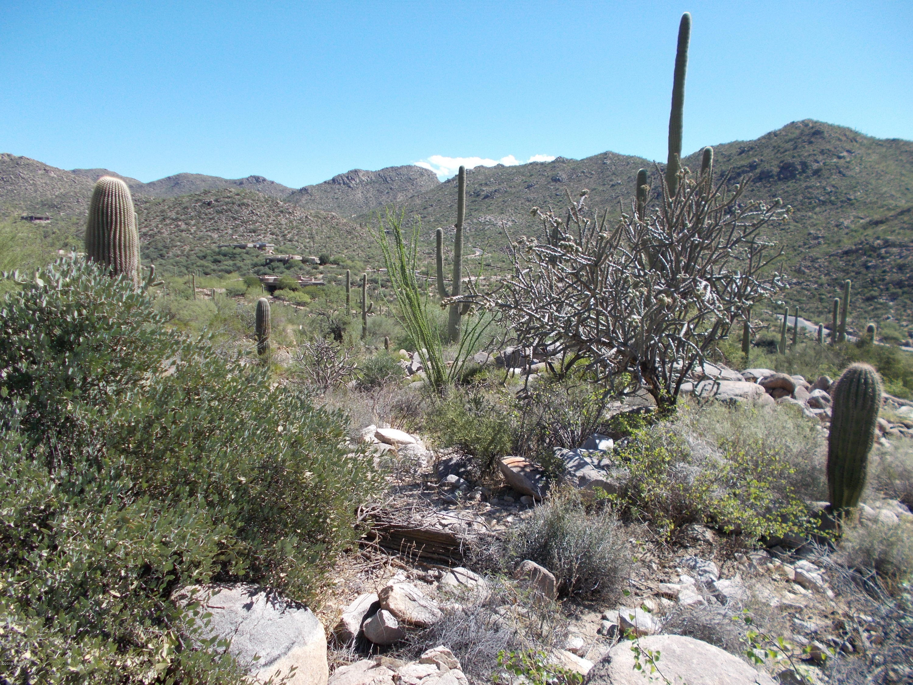 Canyon Pass III At Dove Mountain (111-181) - Land