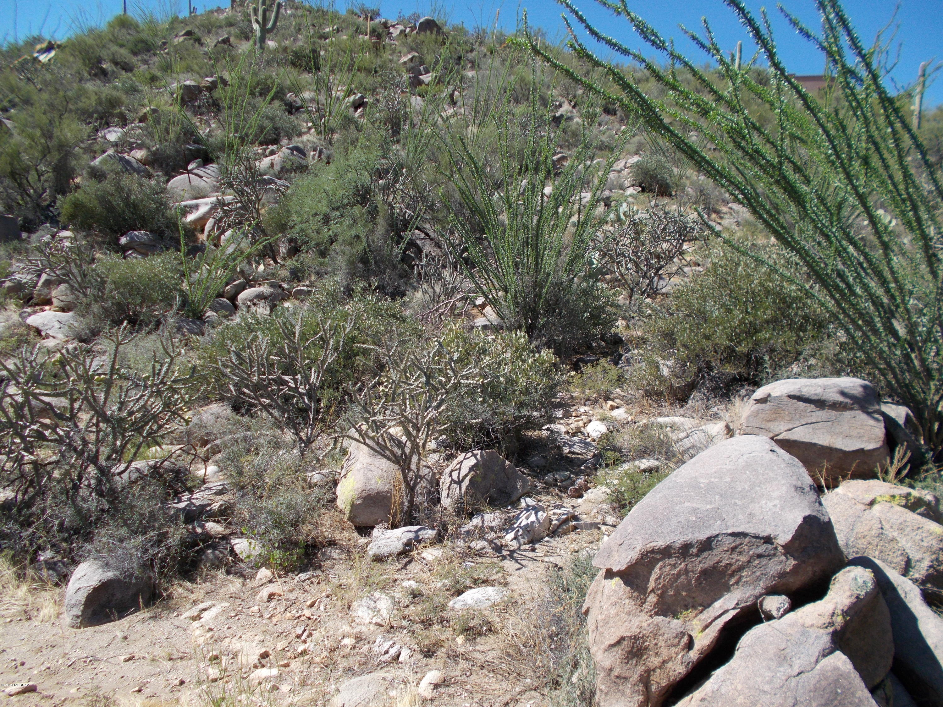 Canyon Pass III At Dove Mountain (111-181) - Land