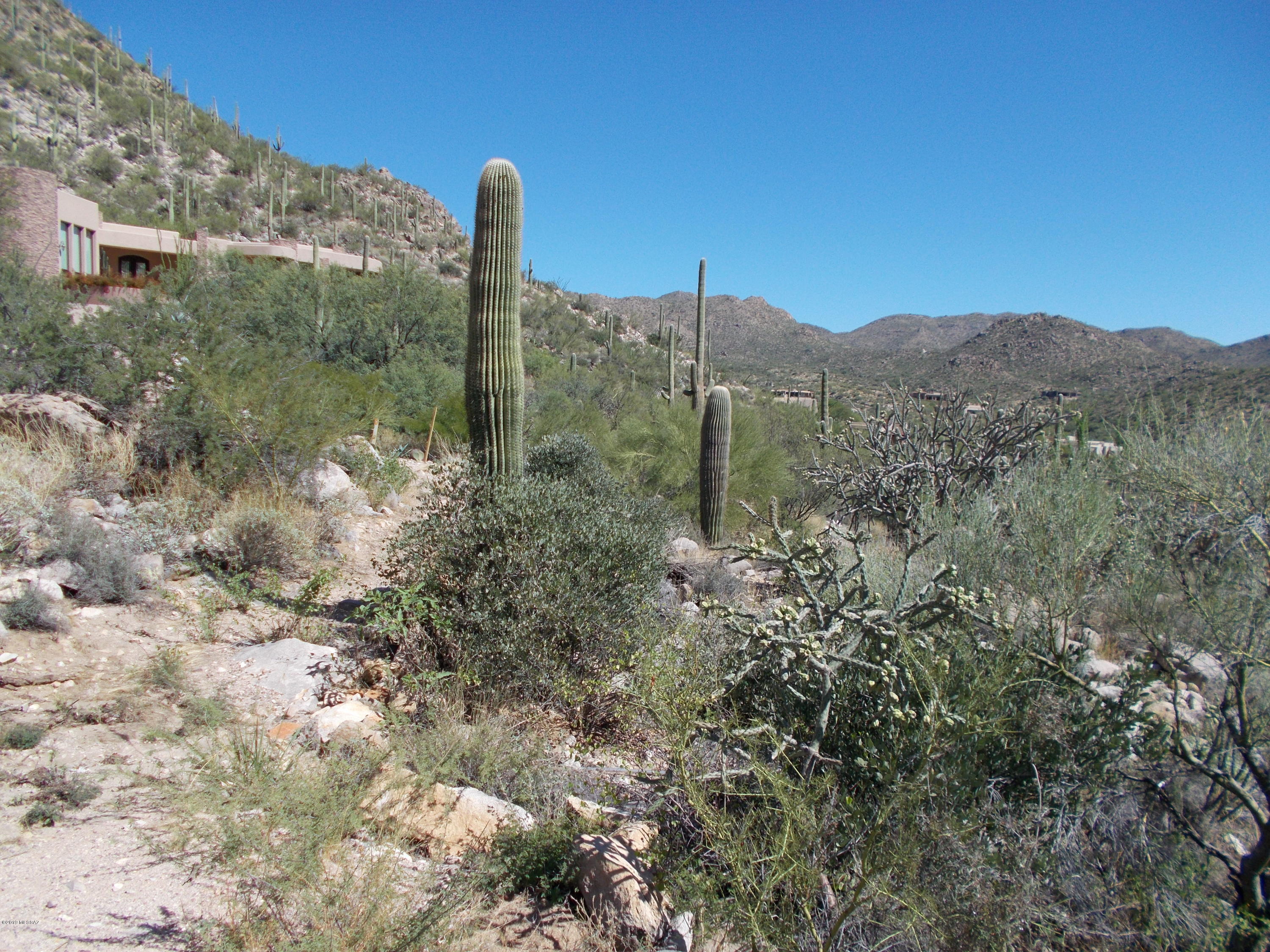 Canyon Pass III At Dove Mountain (111-181) - Land