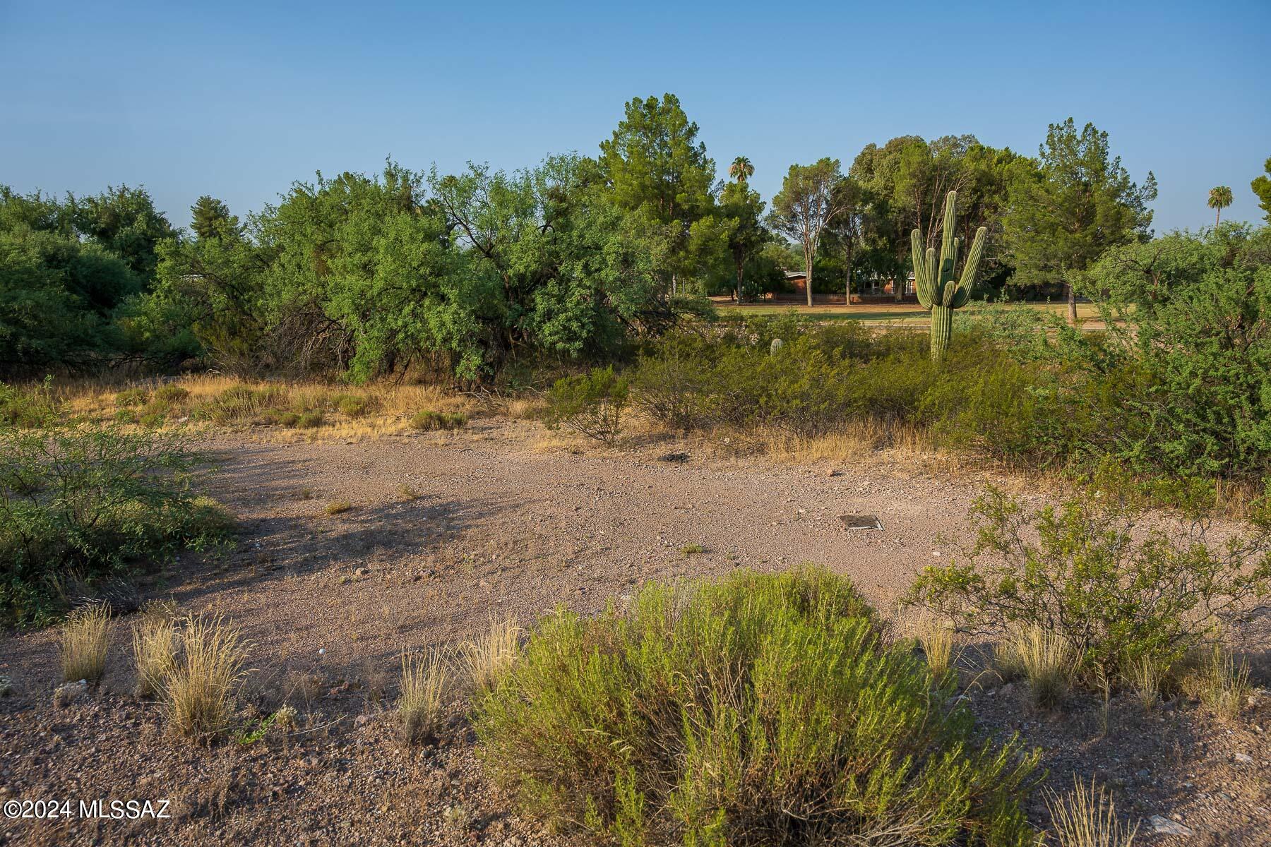 Forty Niners Country Club Estates - Land