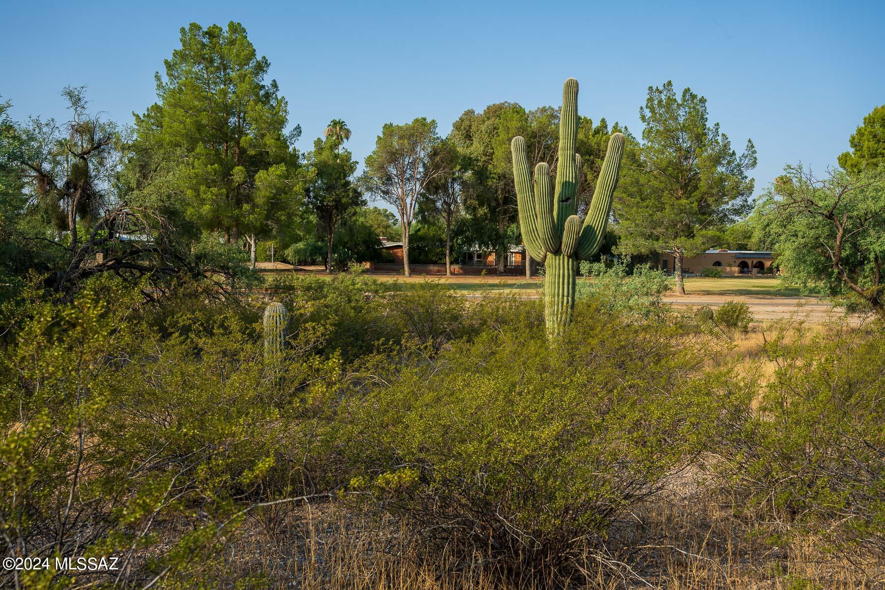 Forty Niners Country Club Estates - Land