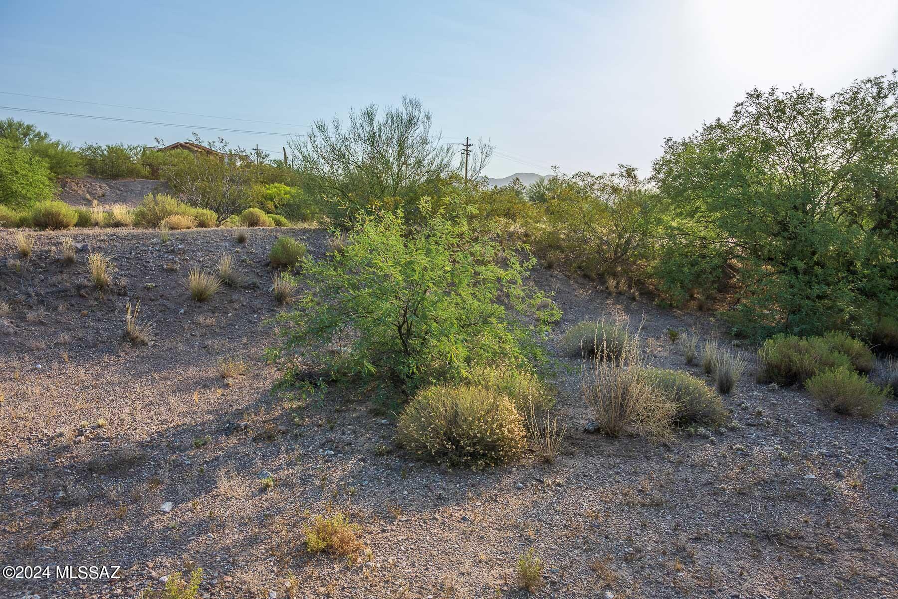 Forty Niners Country Club Estates - Land