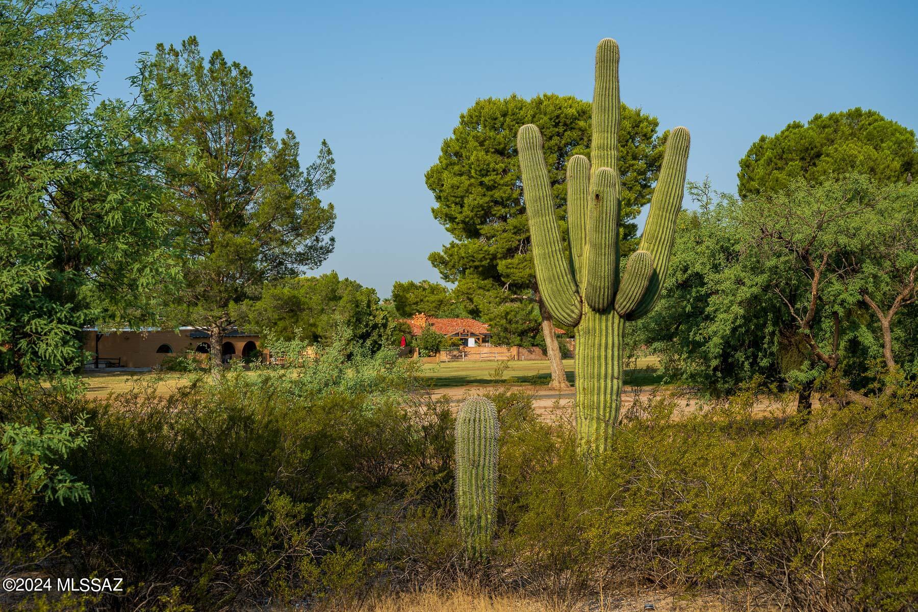 Forty Niners Country Club Estates - Land