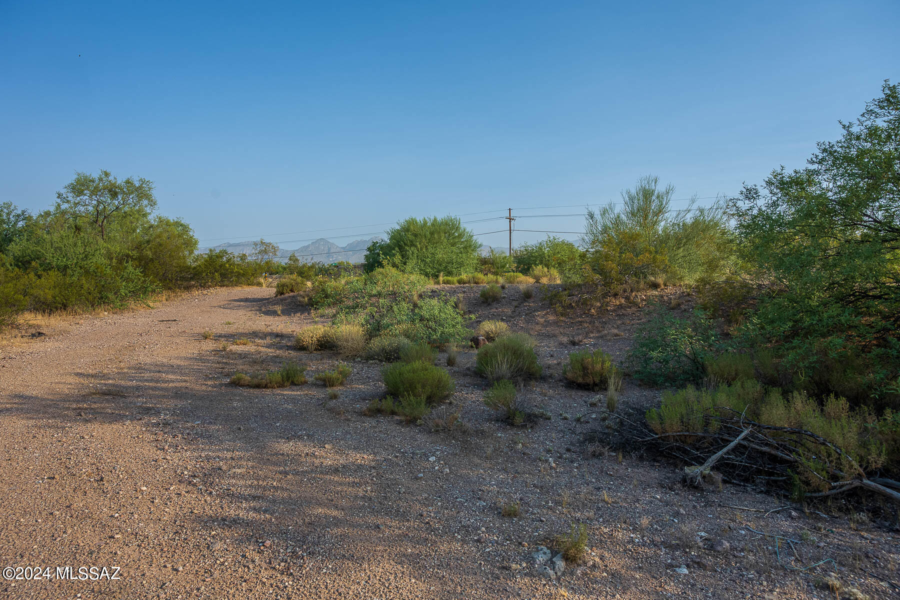 Forty Niners Country Club Estates - Land