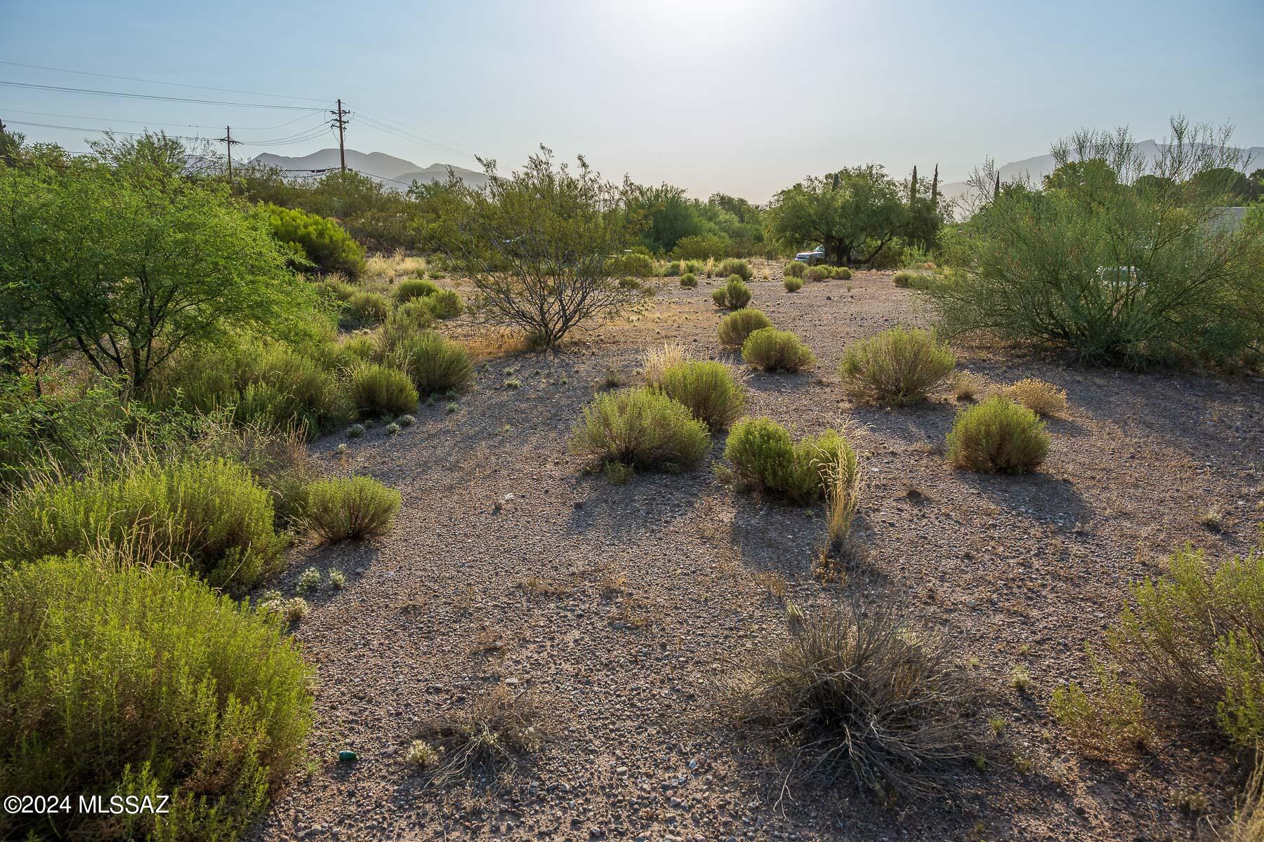 Forty Niners Country Club Estates - Land