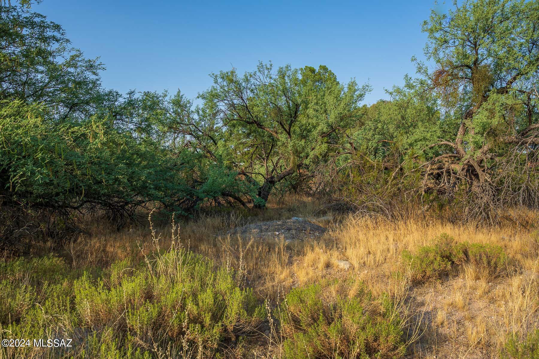 Forty Niners Country Club Estates - Land