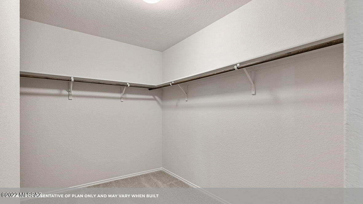 Saguaro Bloom SQ20180540069 - Residential