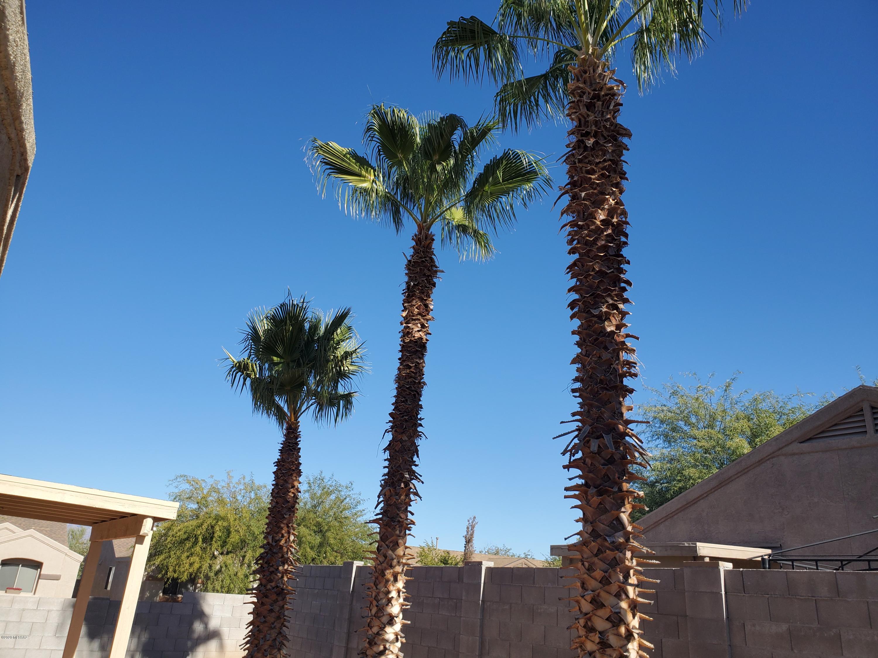 Wilmot Shadows (1-81) - Residential Lease