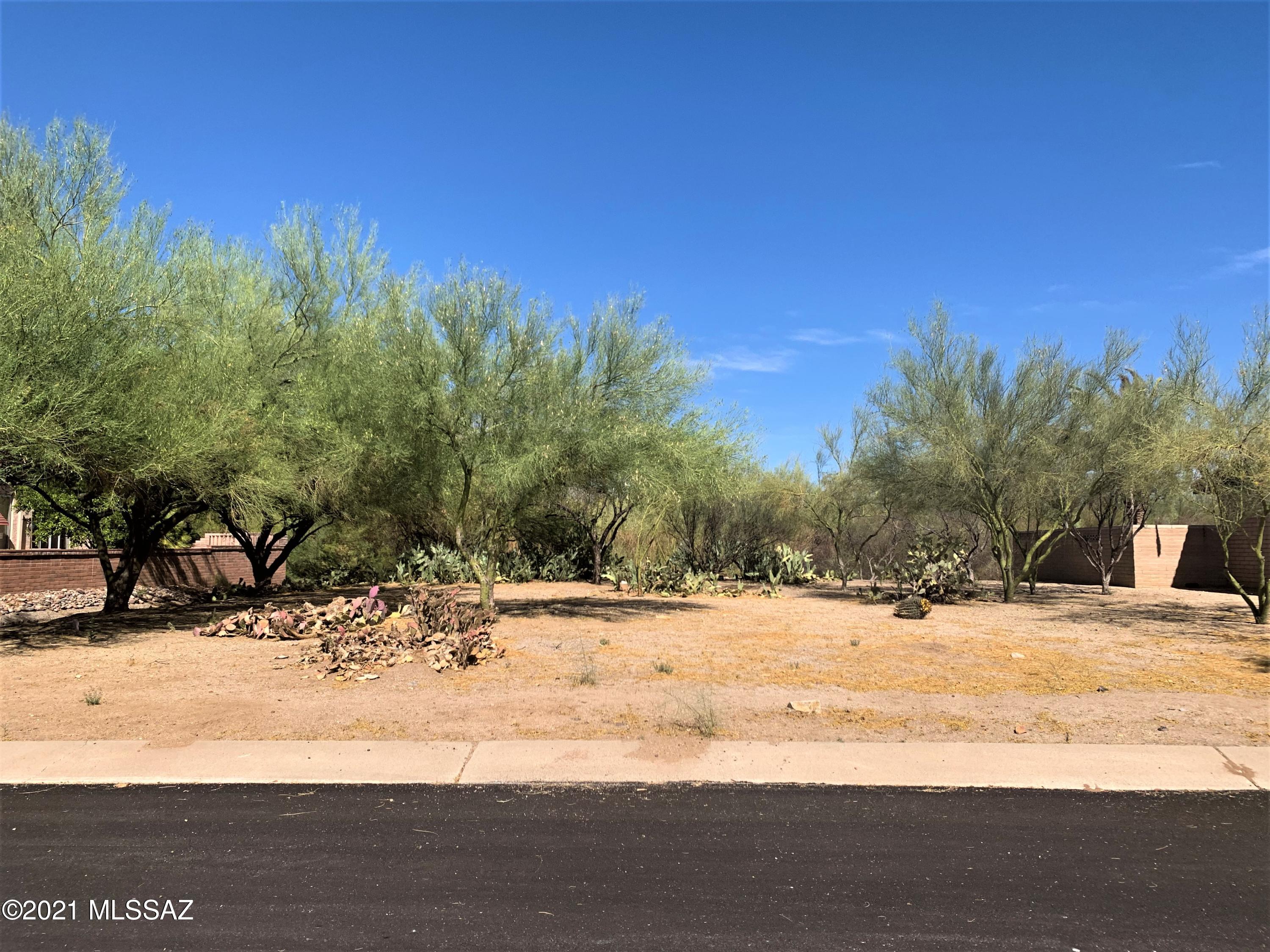 READY TO BUILT YOUR DREAM RETIREMENT HOME?  This  great 0 .20 acre lot with views of the Santa Rita Mountain in the heart of Green Valle can be your perfect location. . Buy now and choose your own builder and time frame. HOA only $35/ year. GVR membership. Water, electric, phone, sewer all readily available. Age restricted 55+.