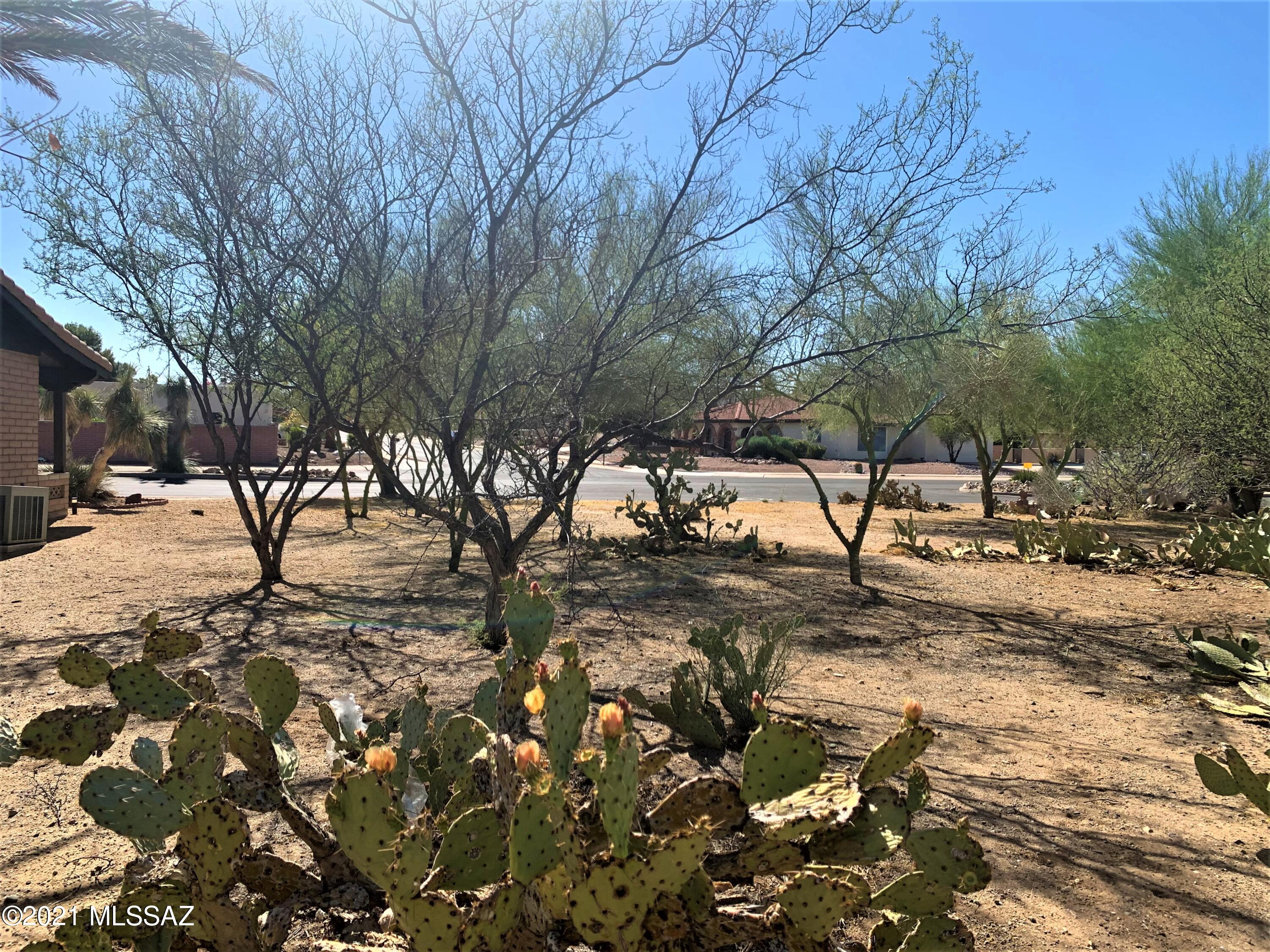 Green Valley Country Club Vistas(1-229) - Land