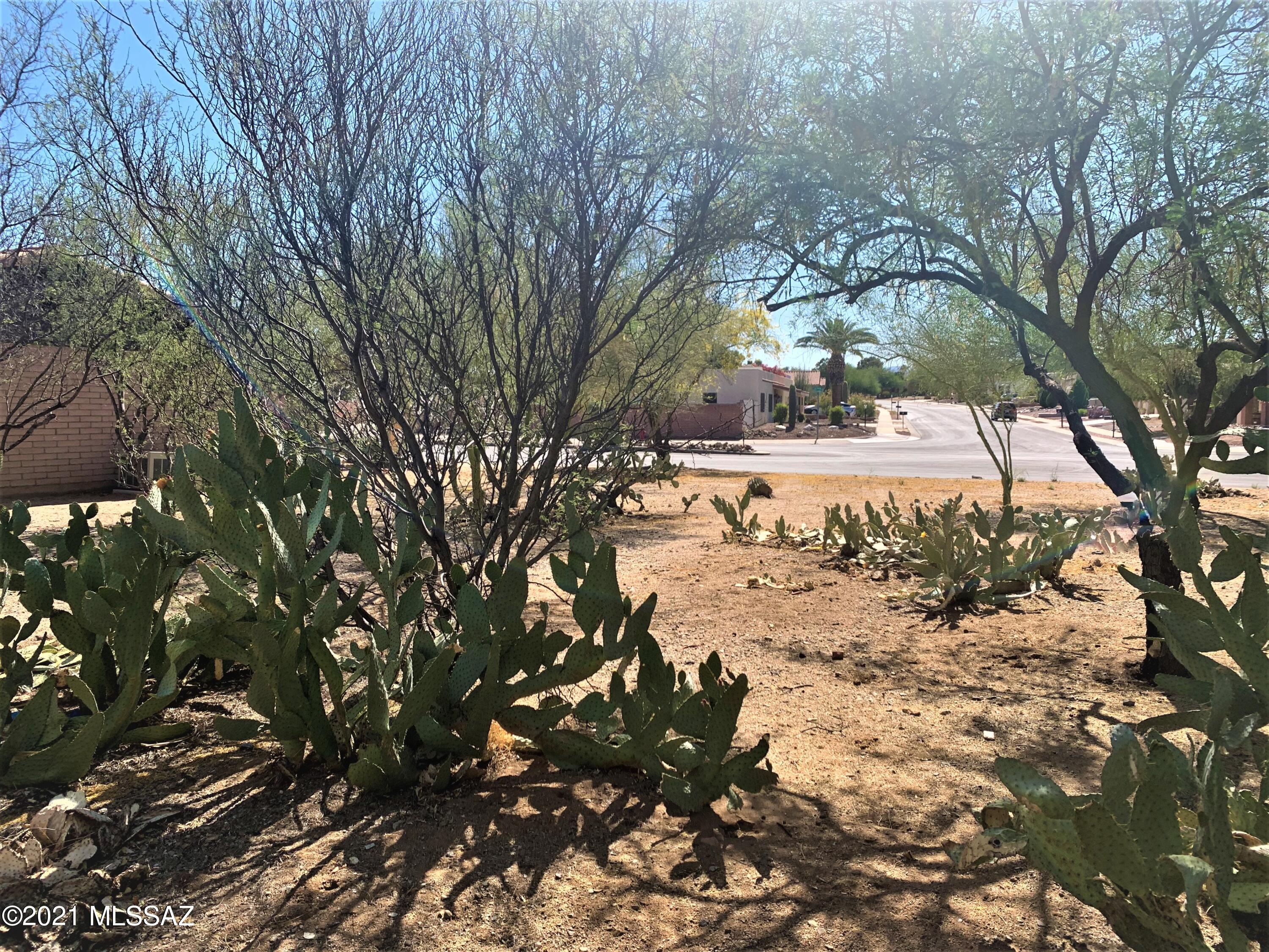 Green Valley Country Club Vistas(1-229) - Land