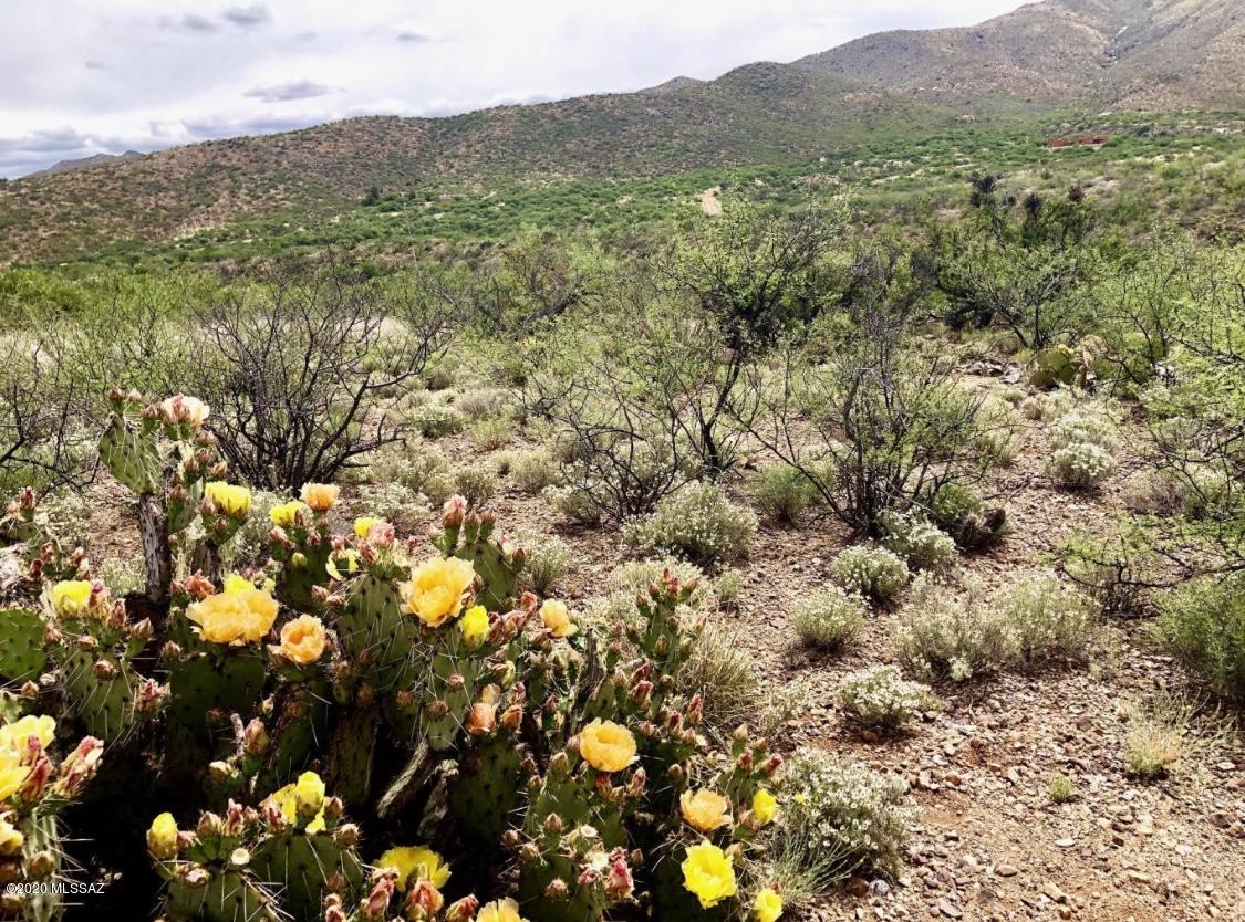 Breathtaking views await within the highly desired Vail School District. Don't miss this opportunity! This is one of 3 connected parcels being listed for sale. Can be purchased individually or together as a package.