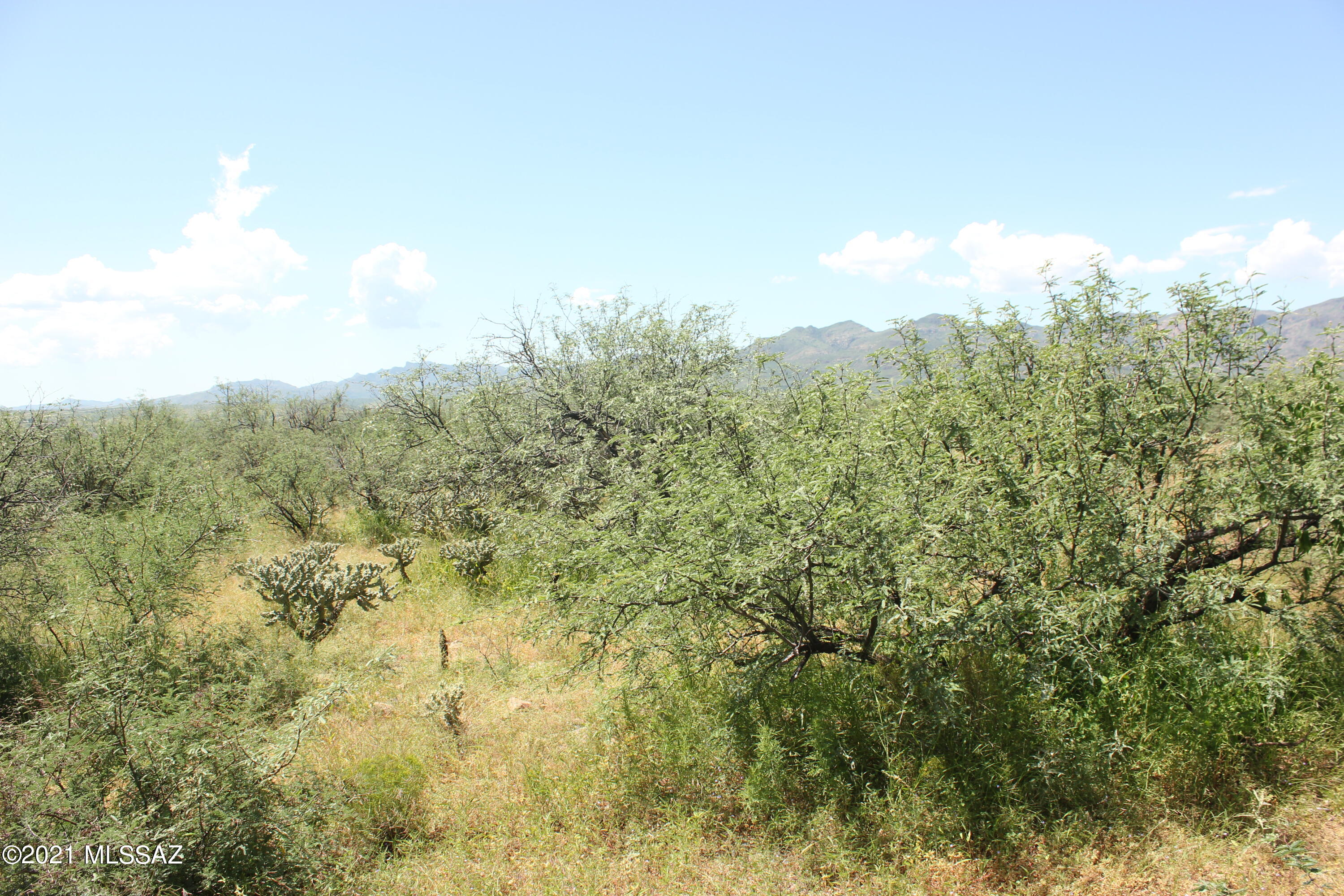 Rio Rico Villas 12 - Land