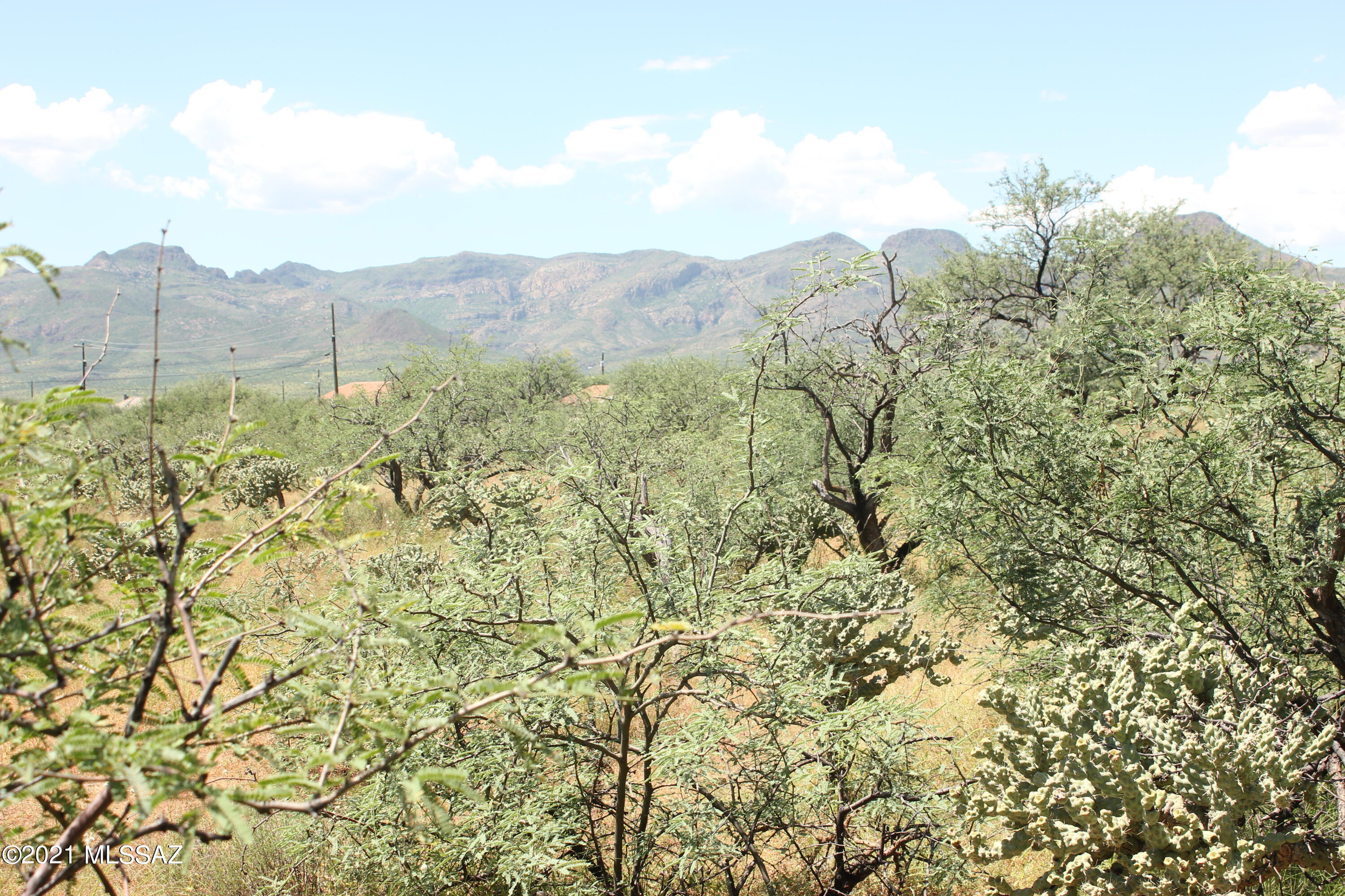 Rio Rico Villas 12 - Land
