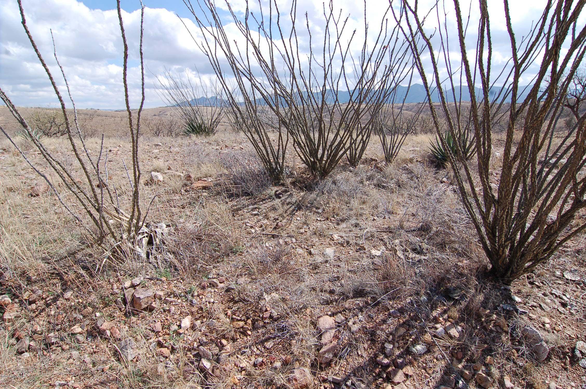 Lake Patagonia Ranch - Land