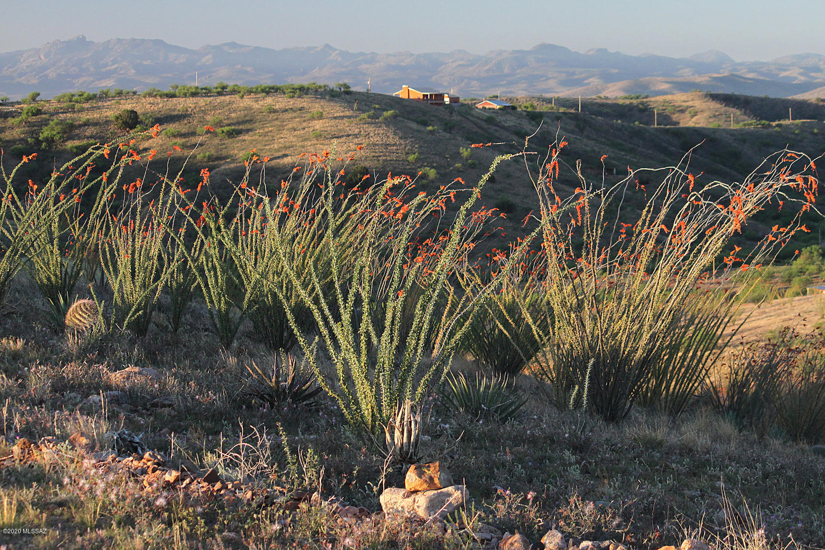 Lake Patagonia Ranch - Land