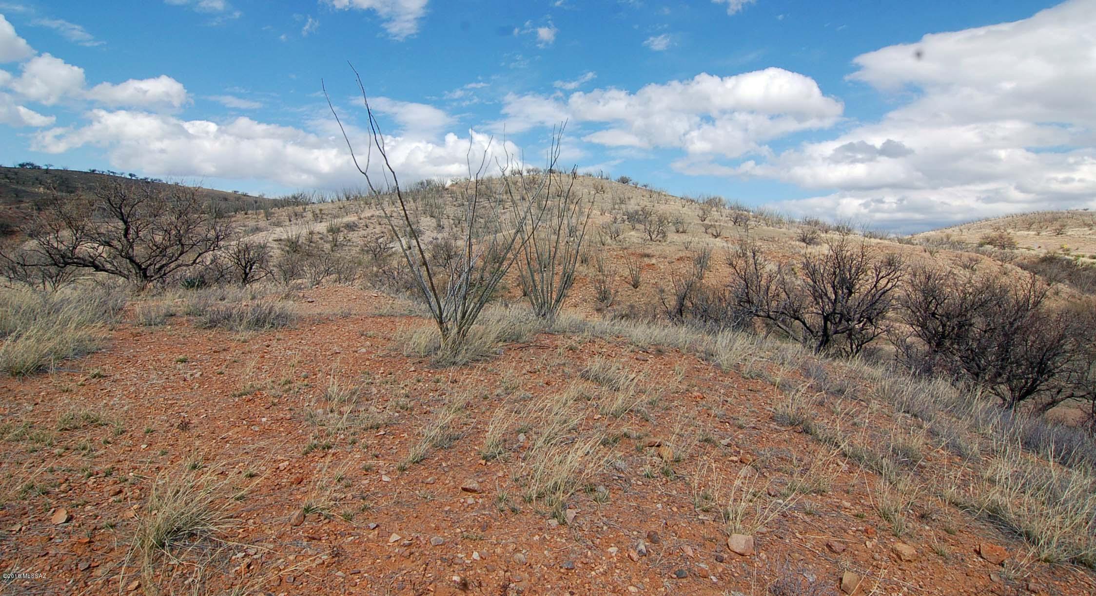 Lake Patagonia Ranch - Land