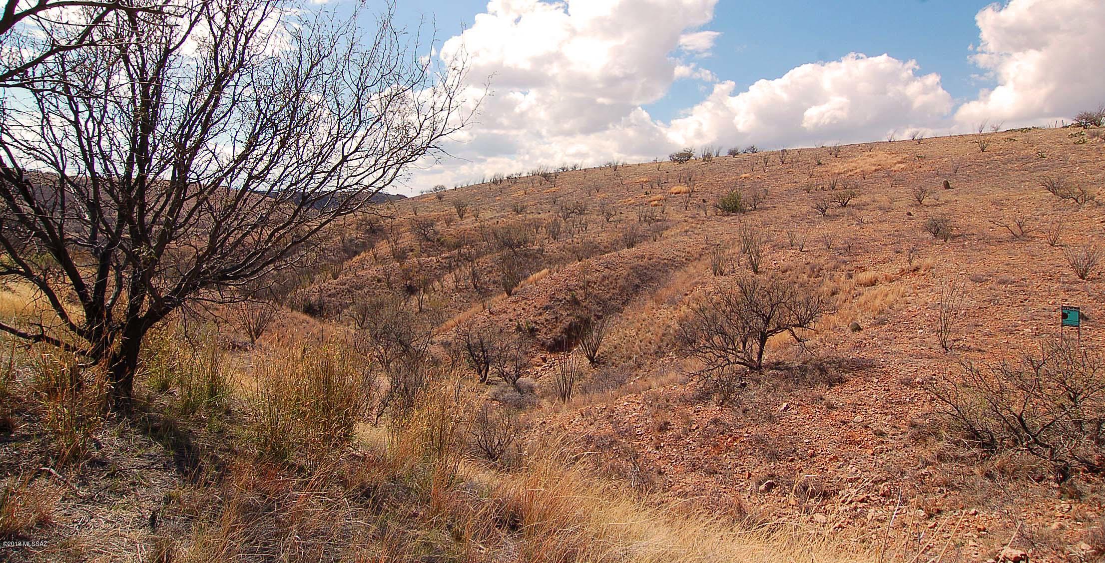 Lake Patagonia Ranch - Land