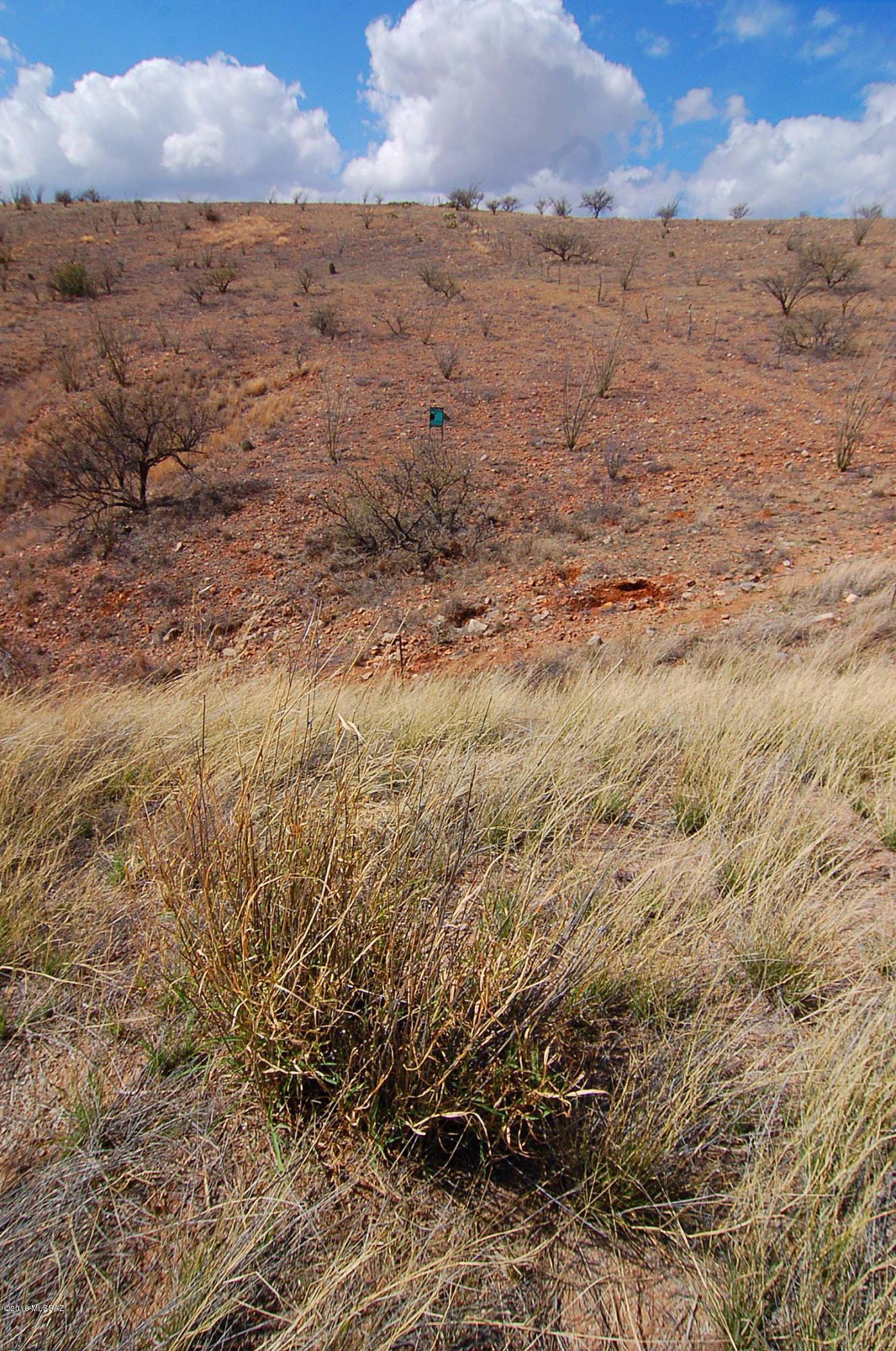 Lake Patagonia Ranch - Land