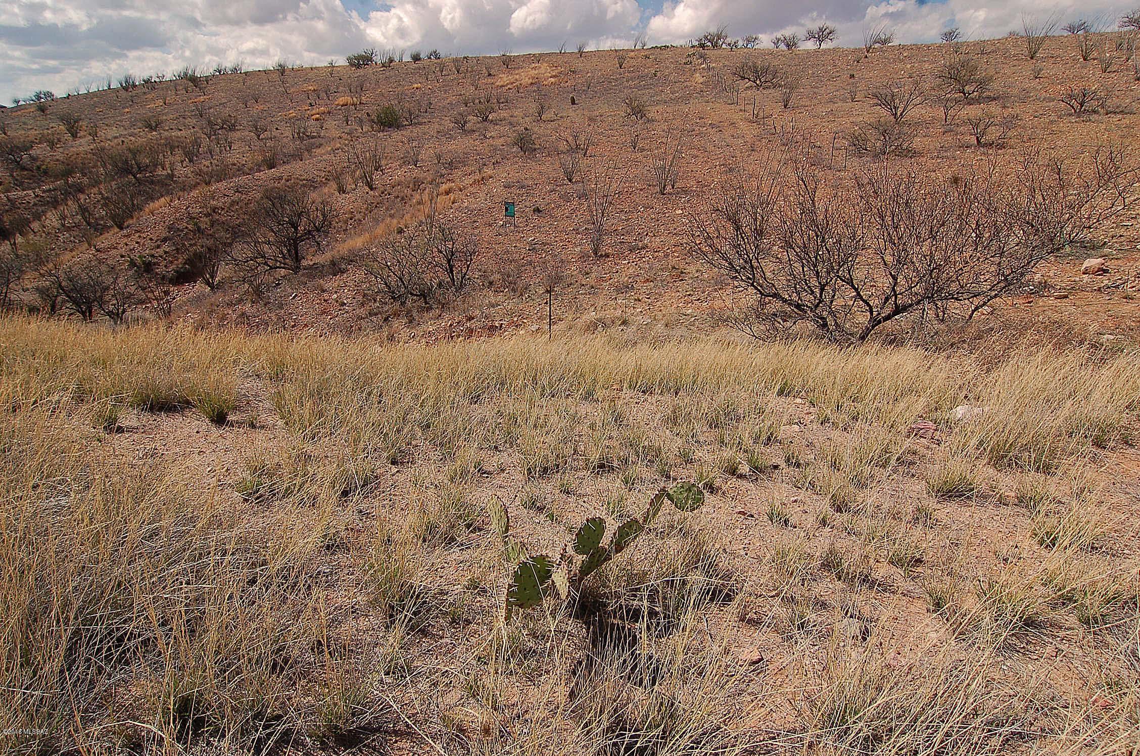 Lake Patagonia Ranch - Land