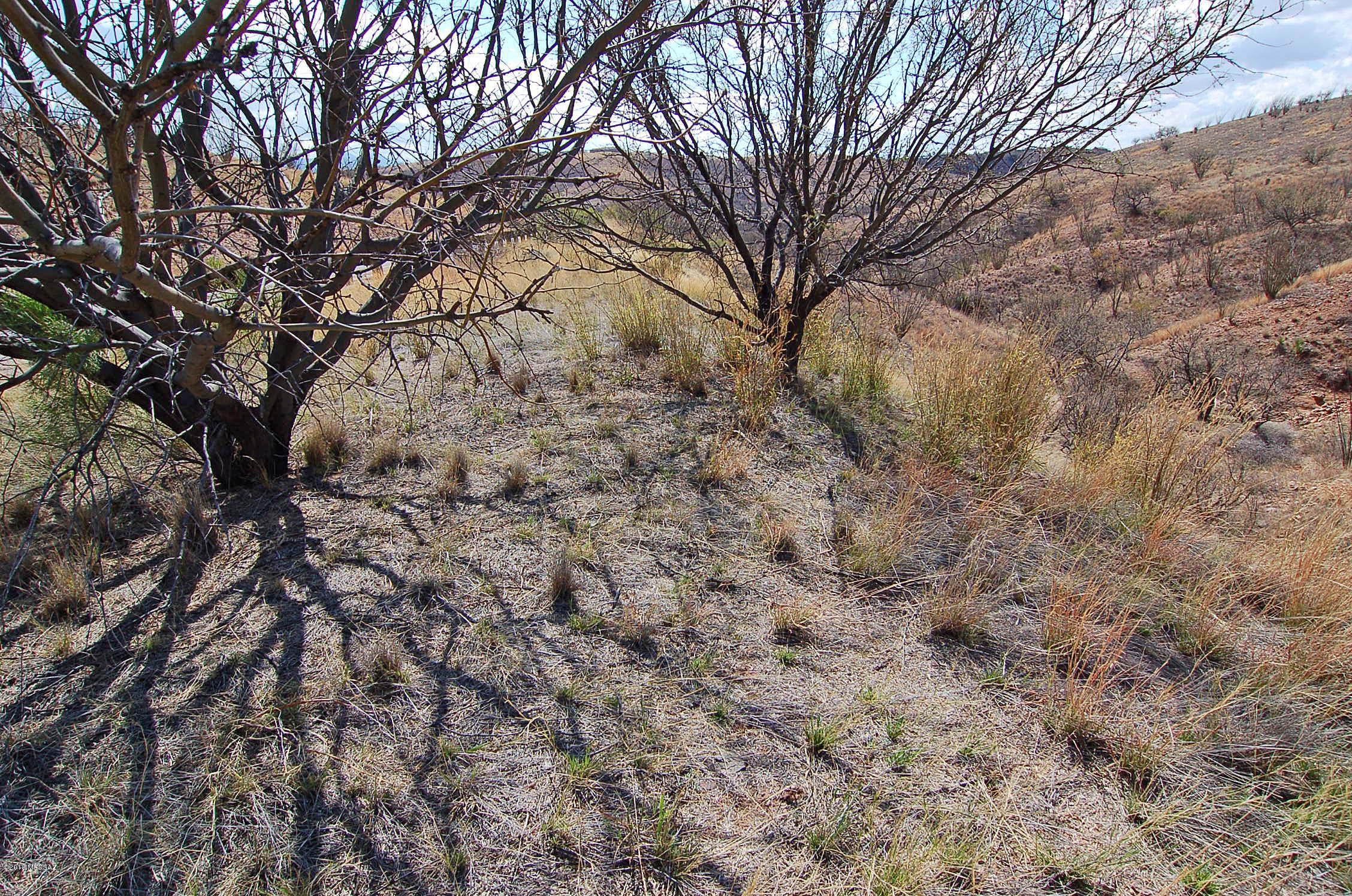 Lake Patagonia Ranch - Land