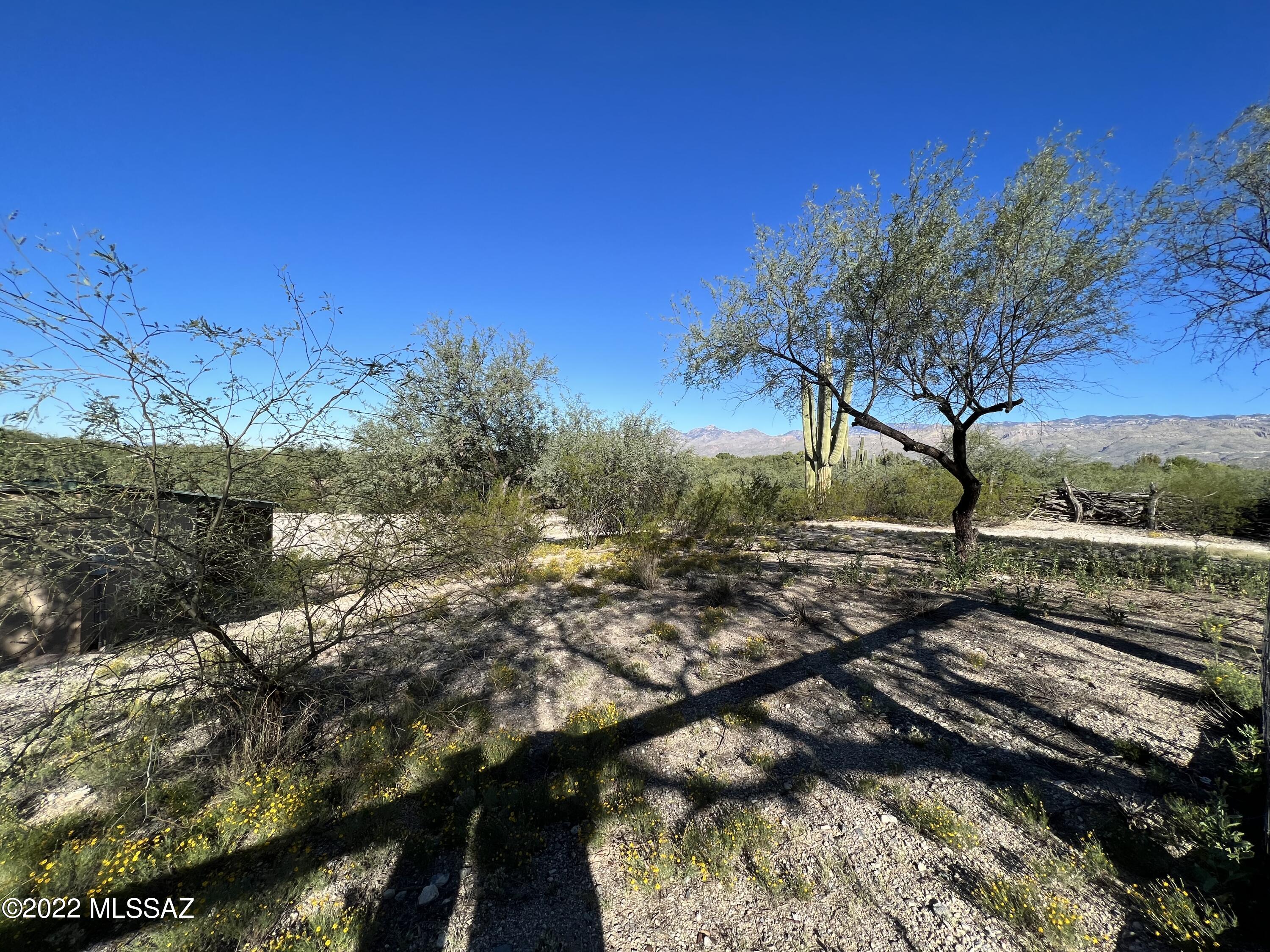 Unsubdivided - Residential Lease