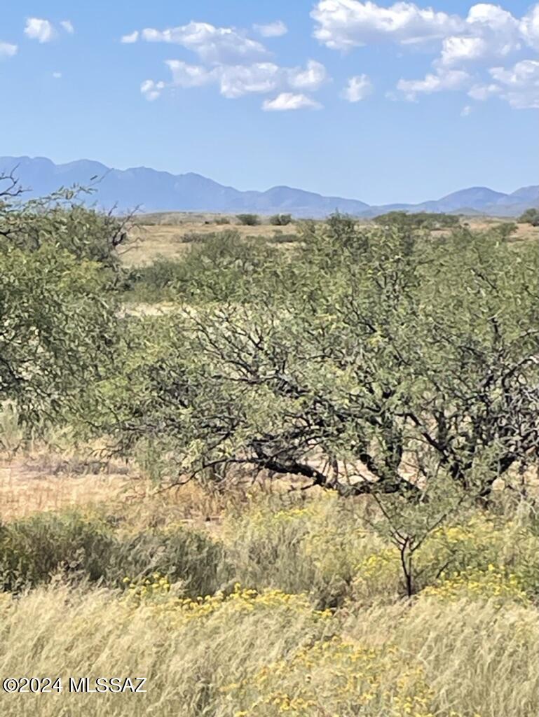 Red Hawk at J-6 Ranch - Land