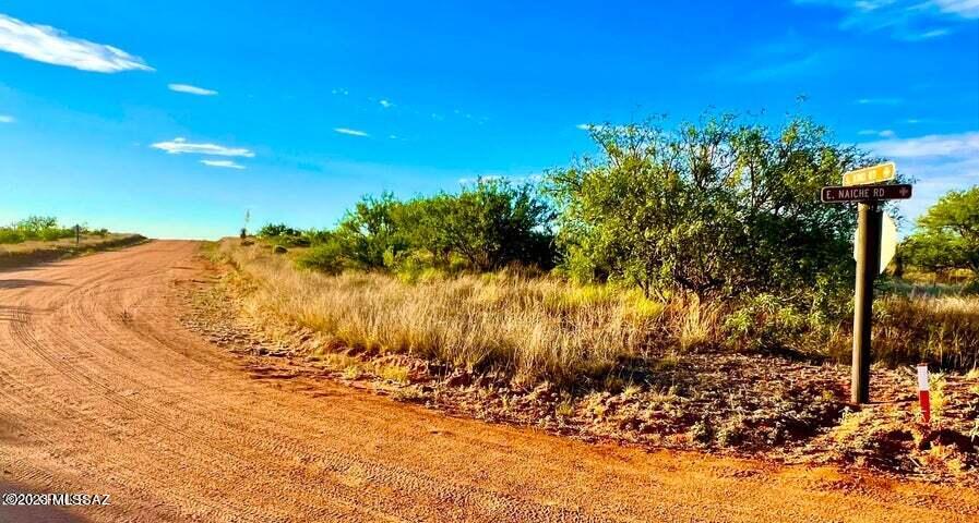 Dragoon Mountain Ranch - Land