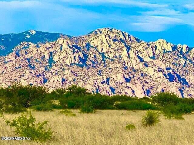 Dragoon Mountain Ranch - Land